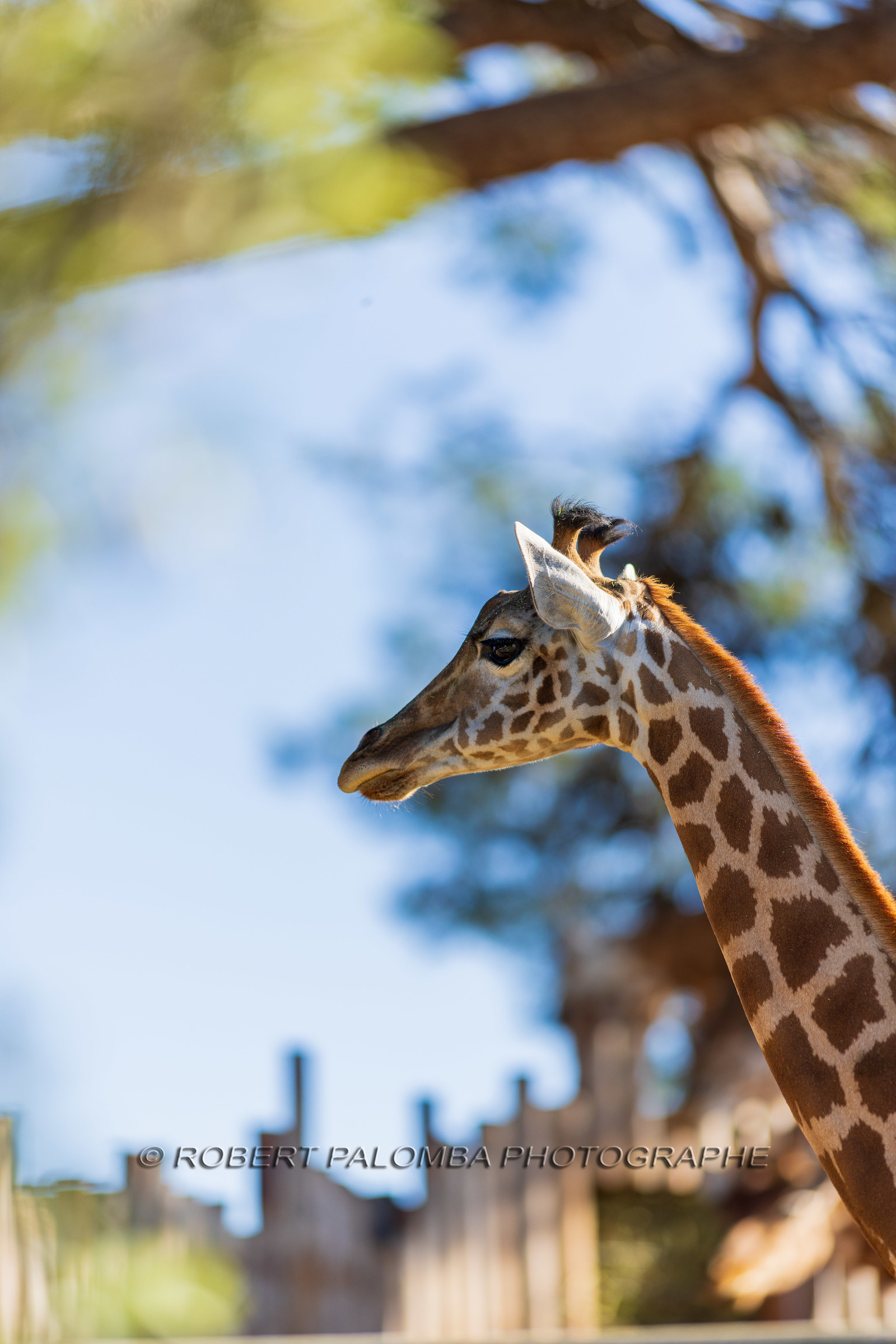 Parc animalier de la Barben