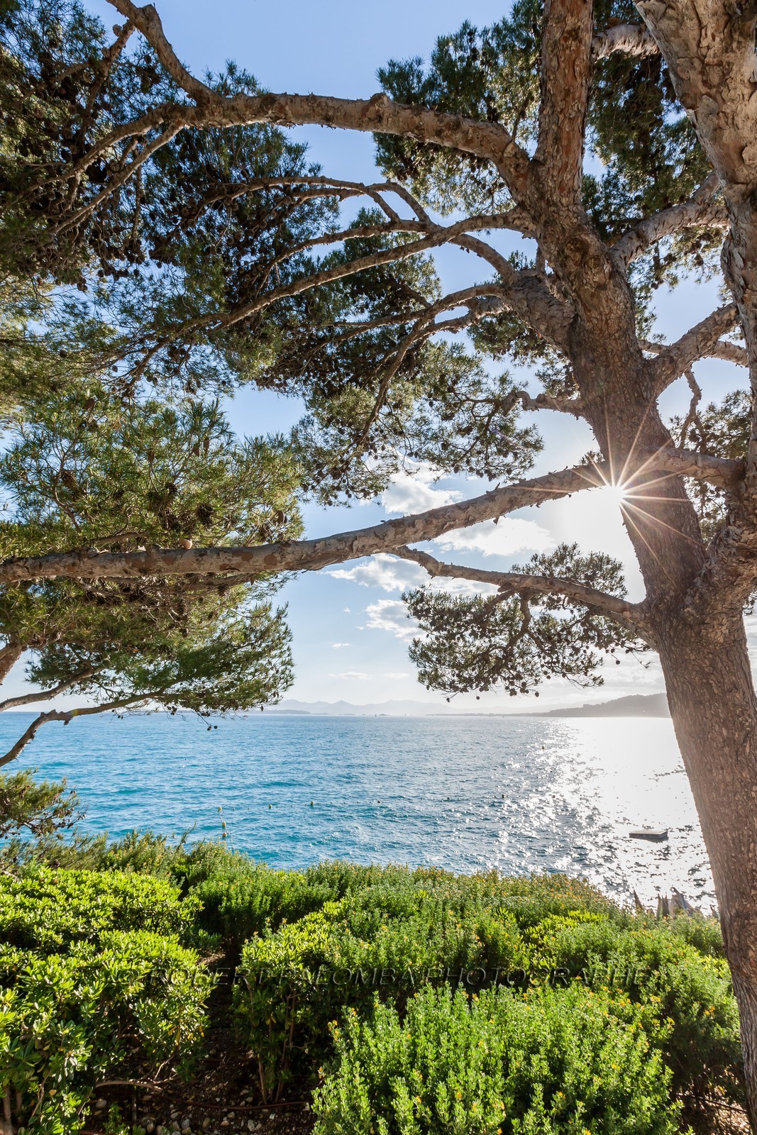 Cap d'Antibes
