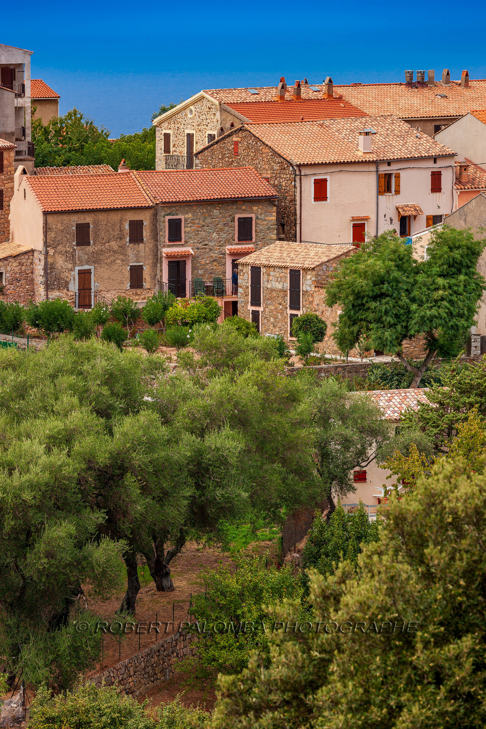 Piana