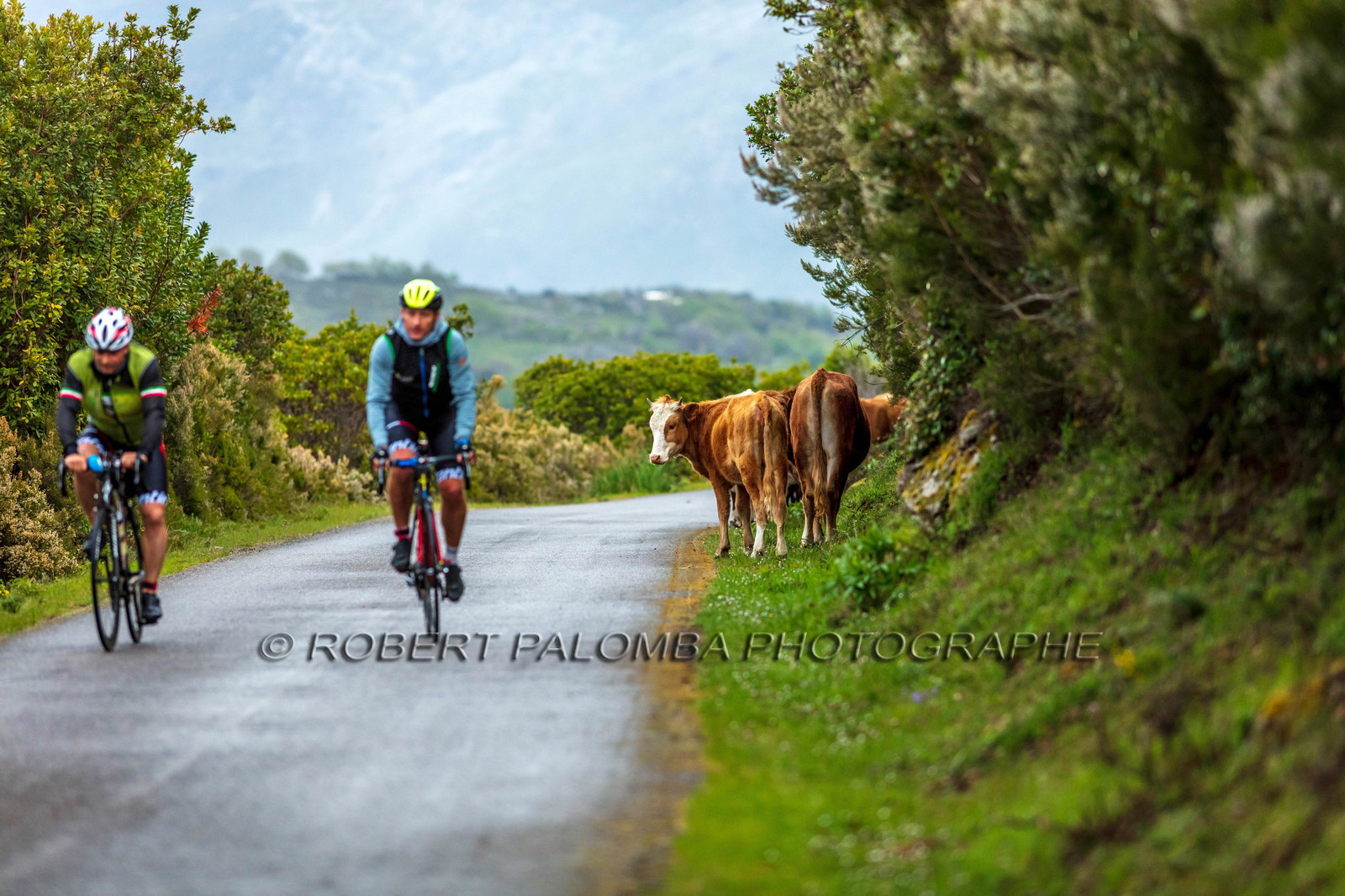 Col de Bigorno