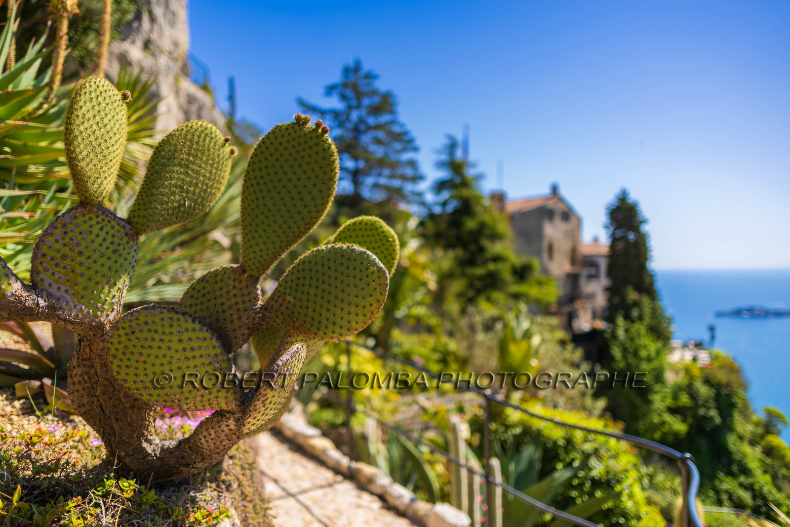 Eze Jardin exotique