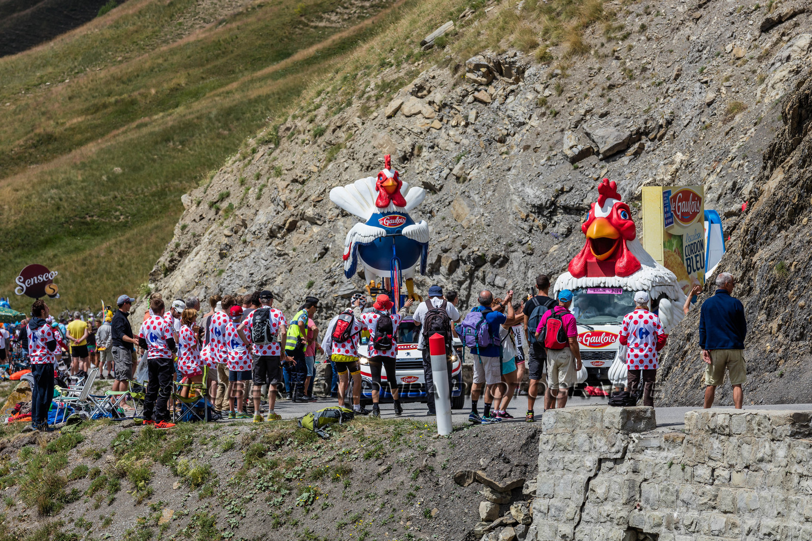 Tour de France 2015