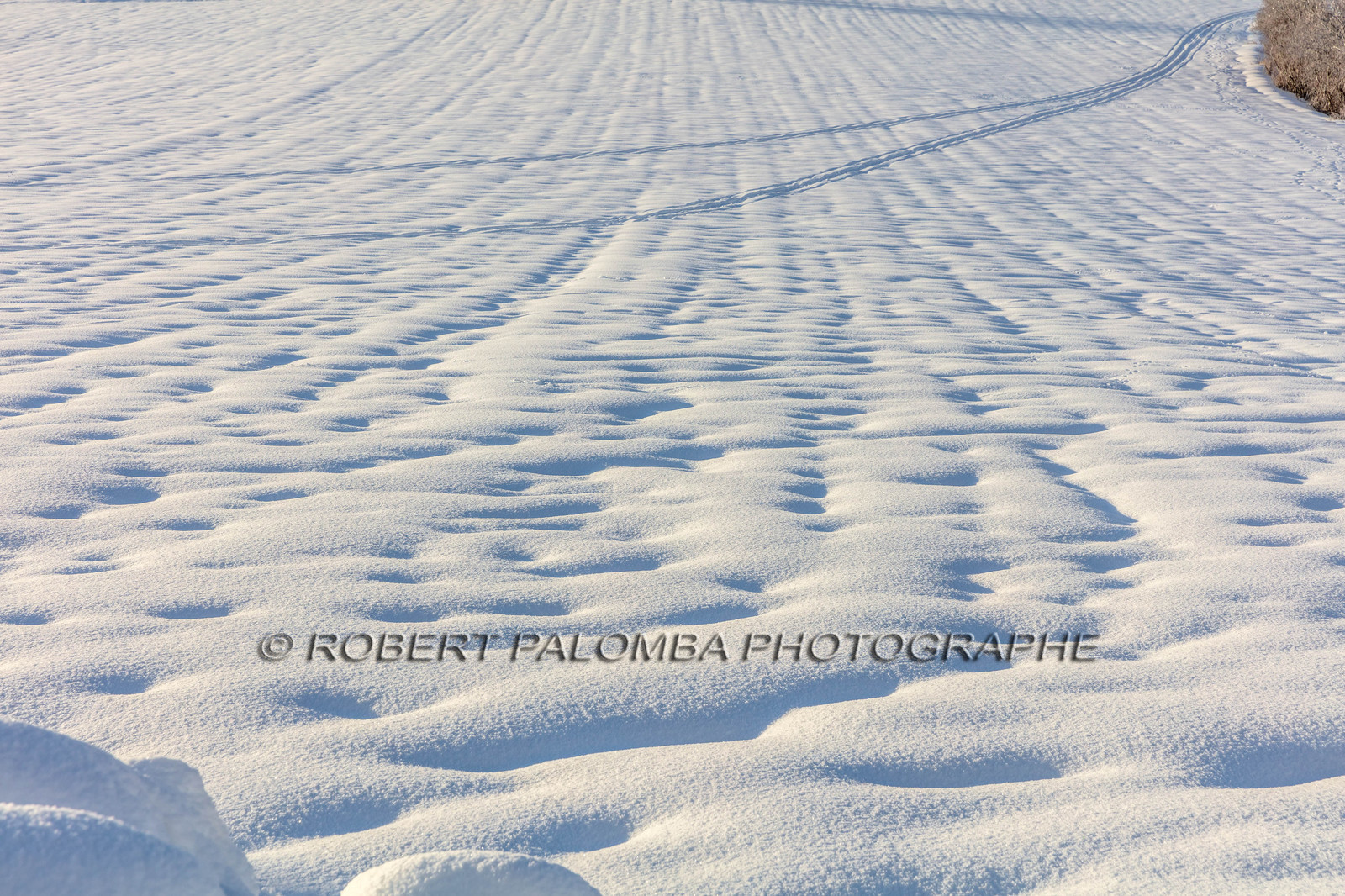 La Colle-Saint-Michel