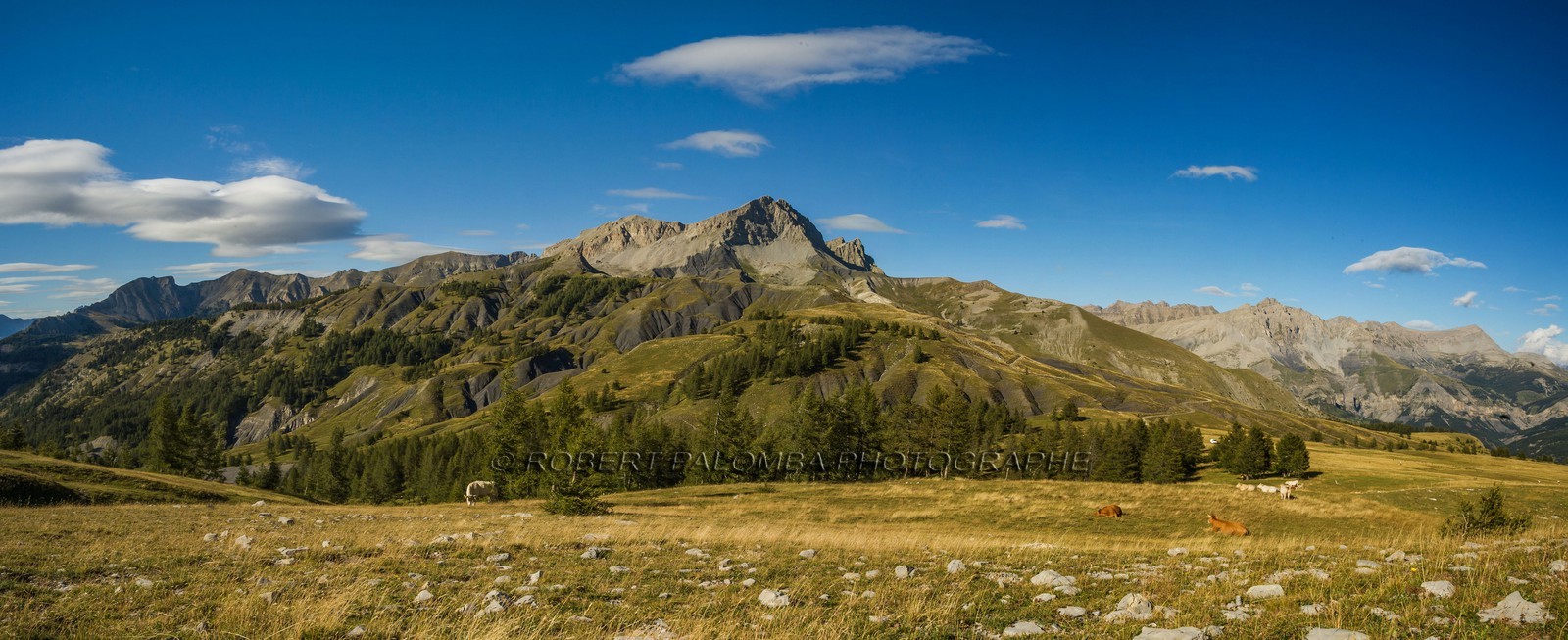 Col des Champs