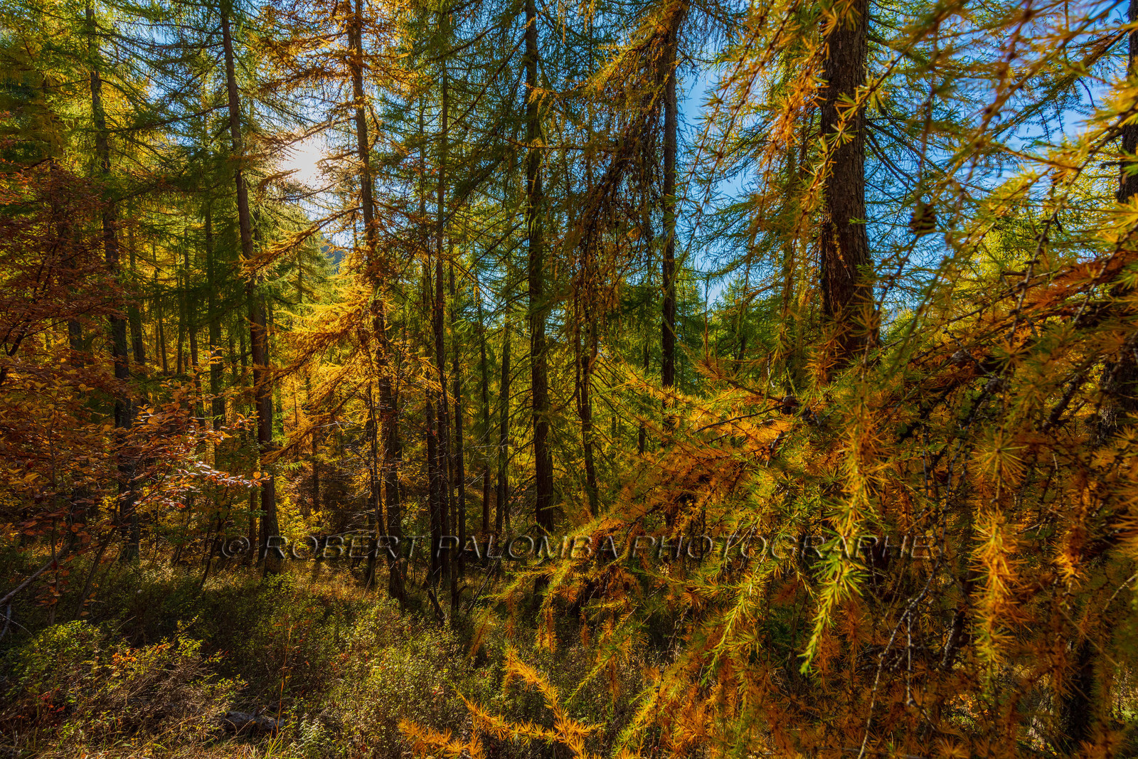 Col des Champs