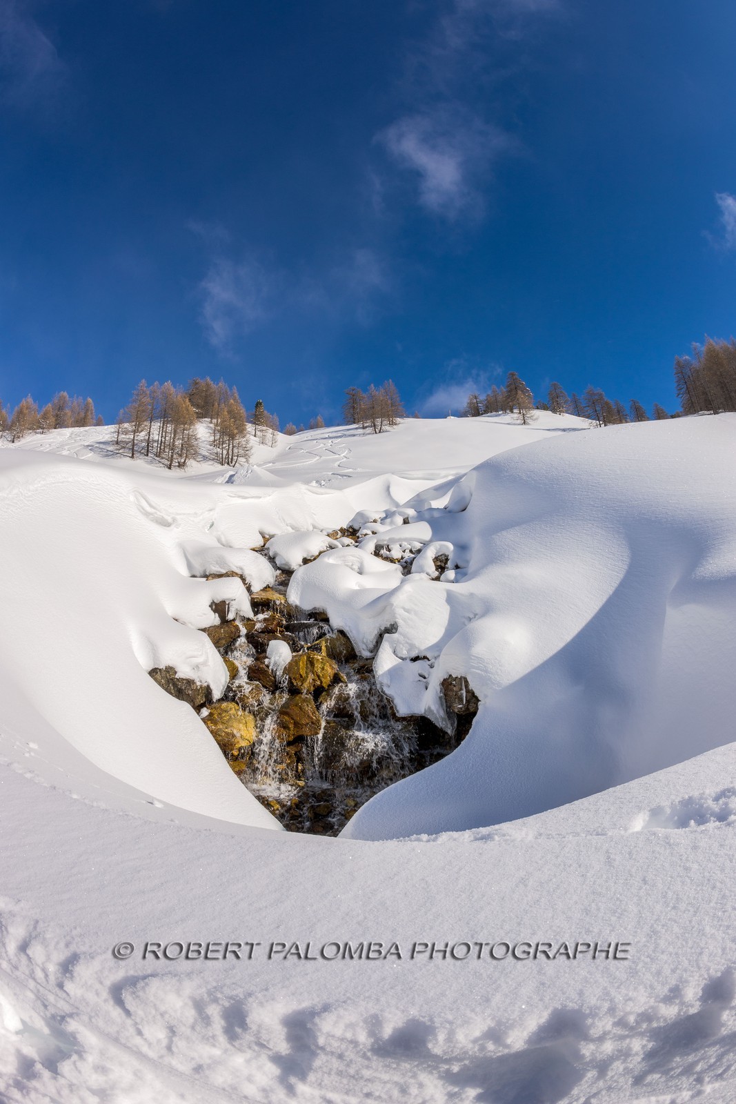 Isola 2000