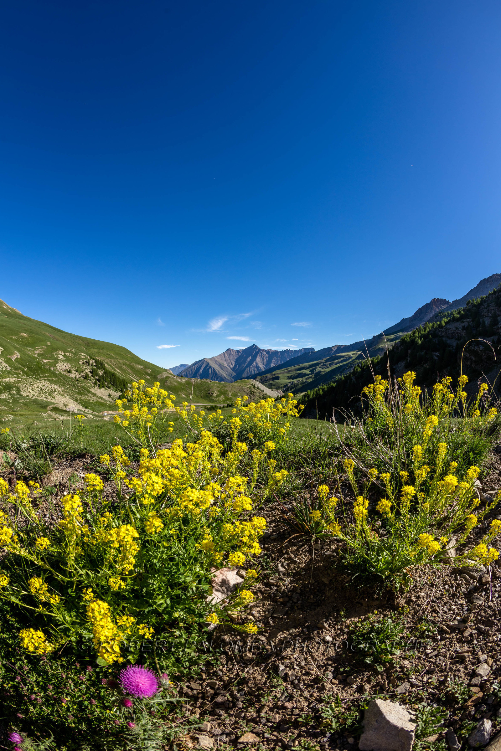Col de la Bonette