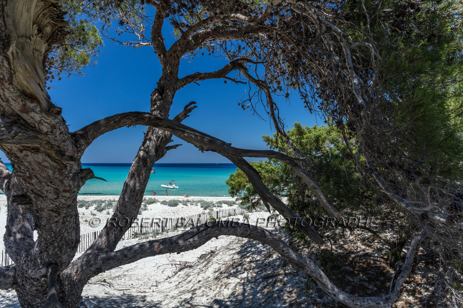 Saleccia