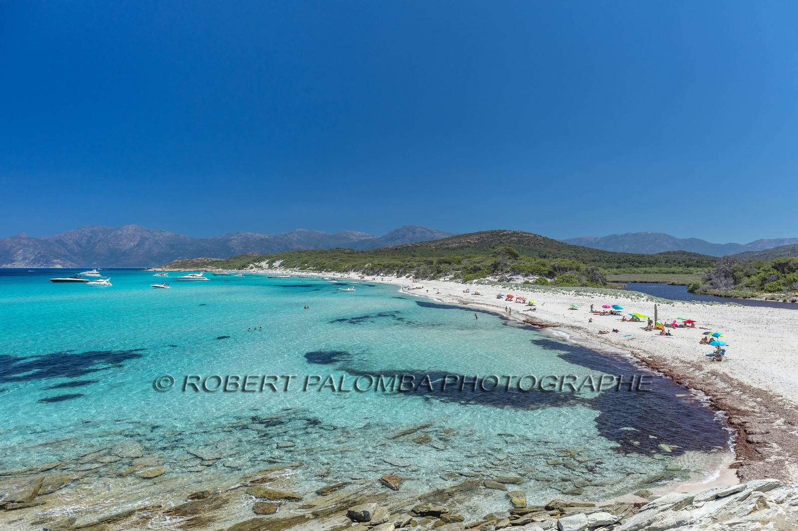 Saleccia