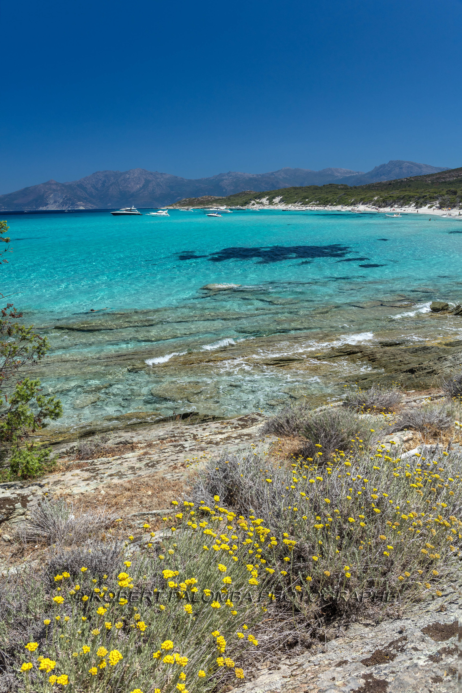 Saleccia