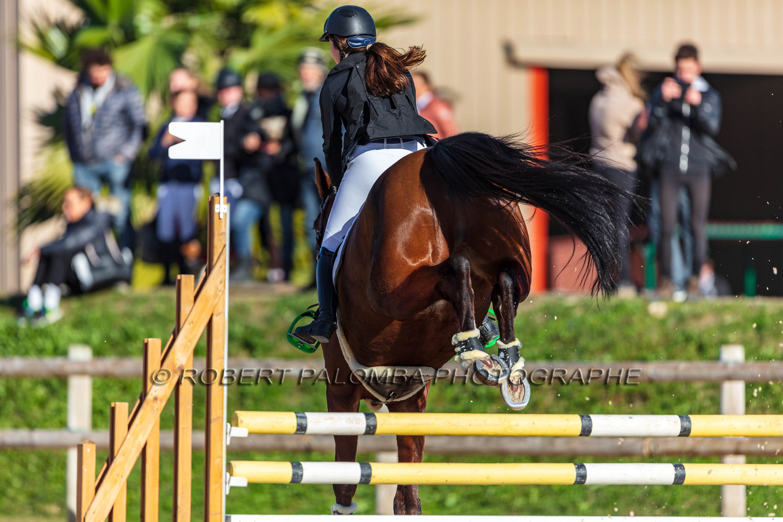 Equitation