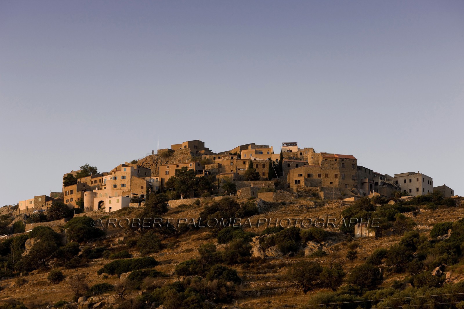 Aregno