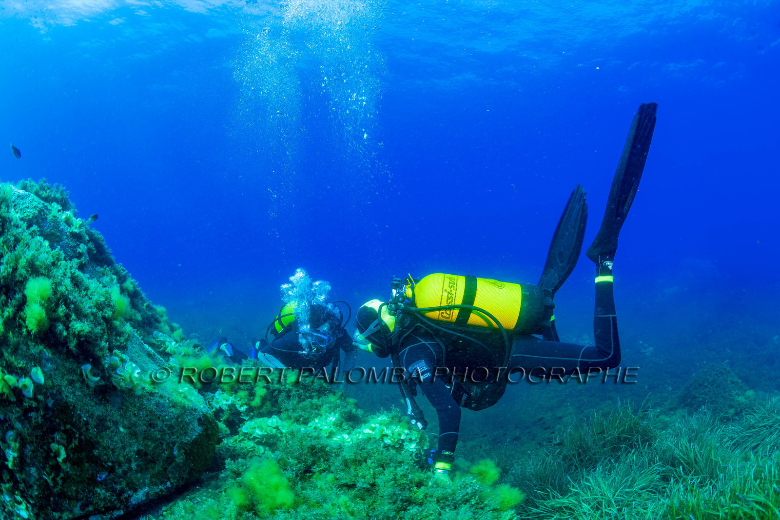 Plongée-sous-marine