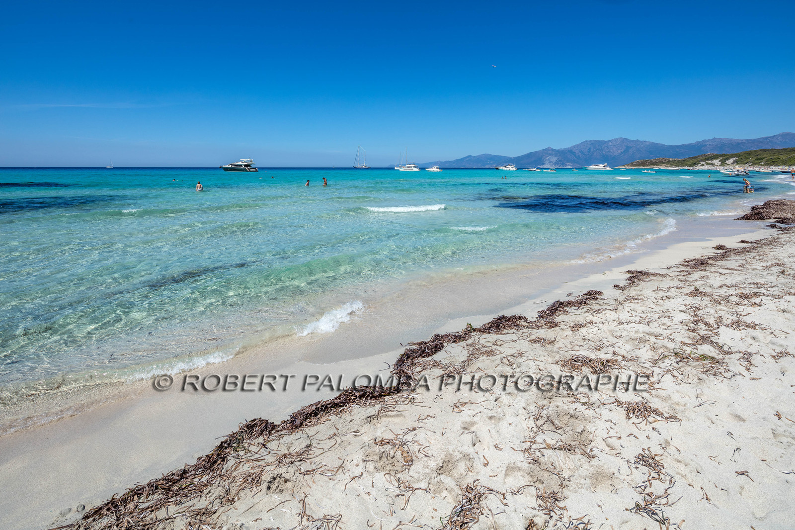 Saleccia