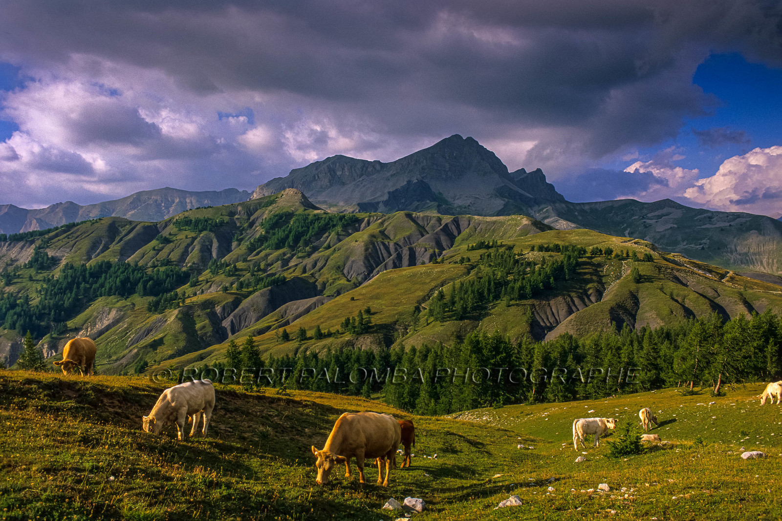 Col des Champs