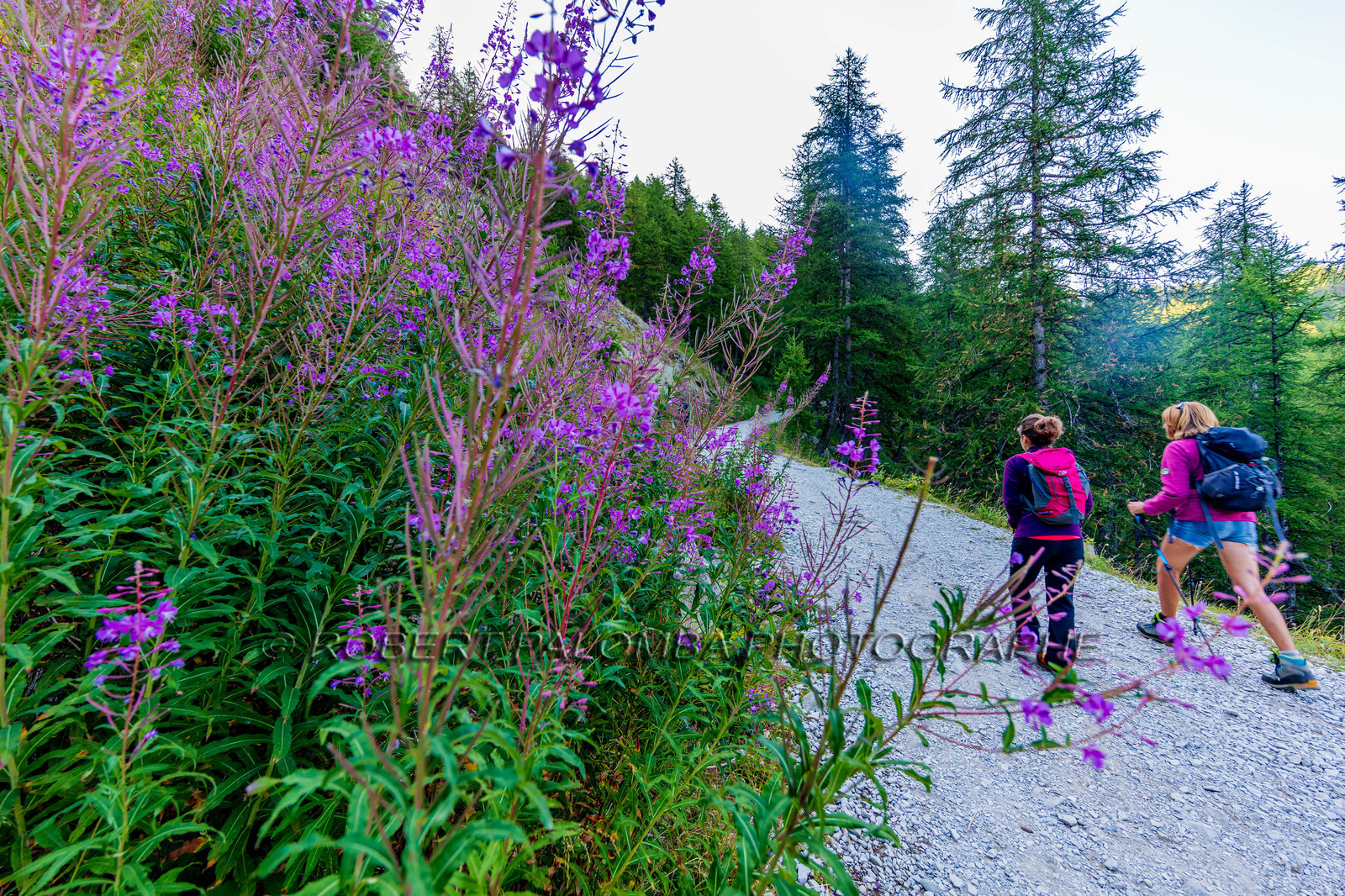 Rando des trois lacs