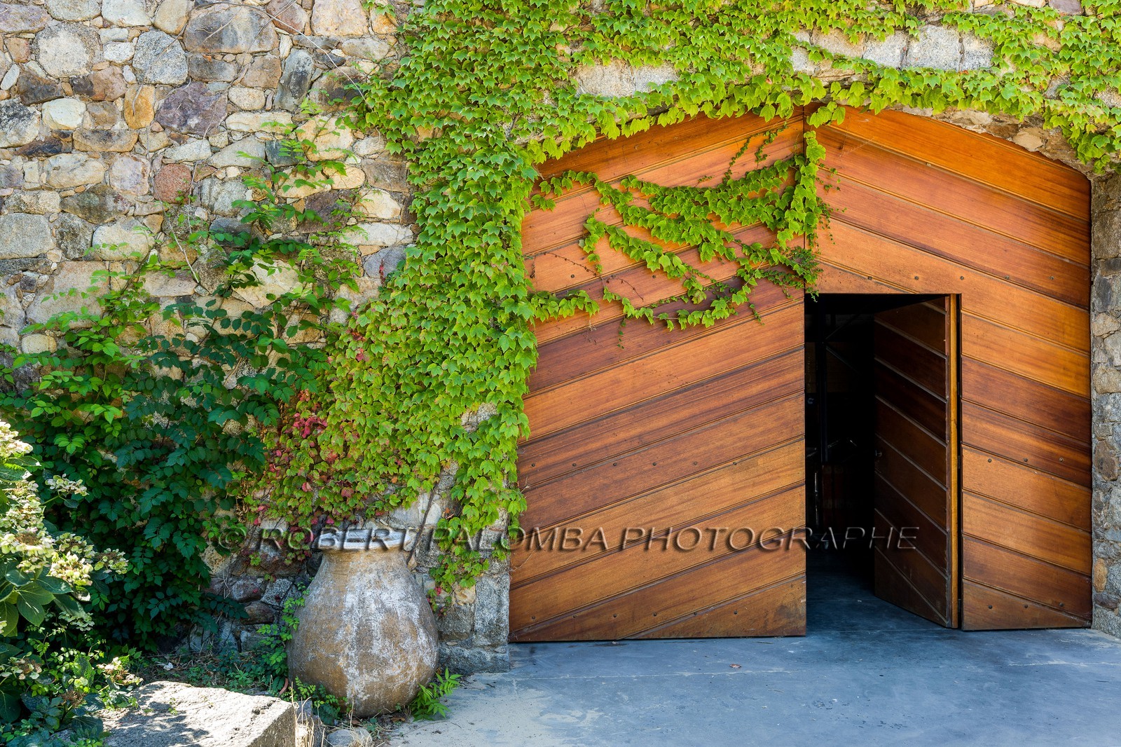 Vignoble corse