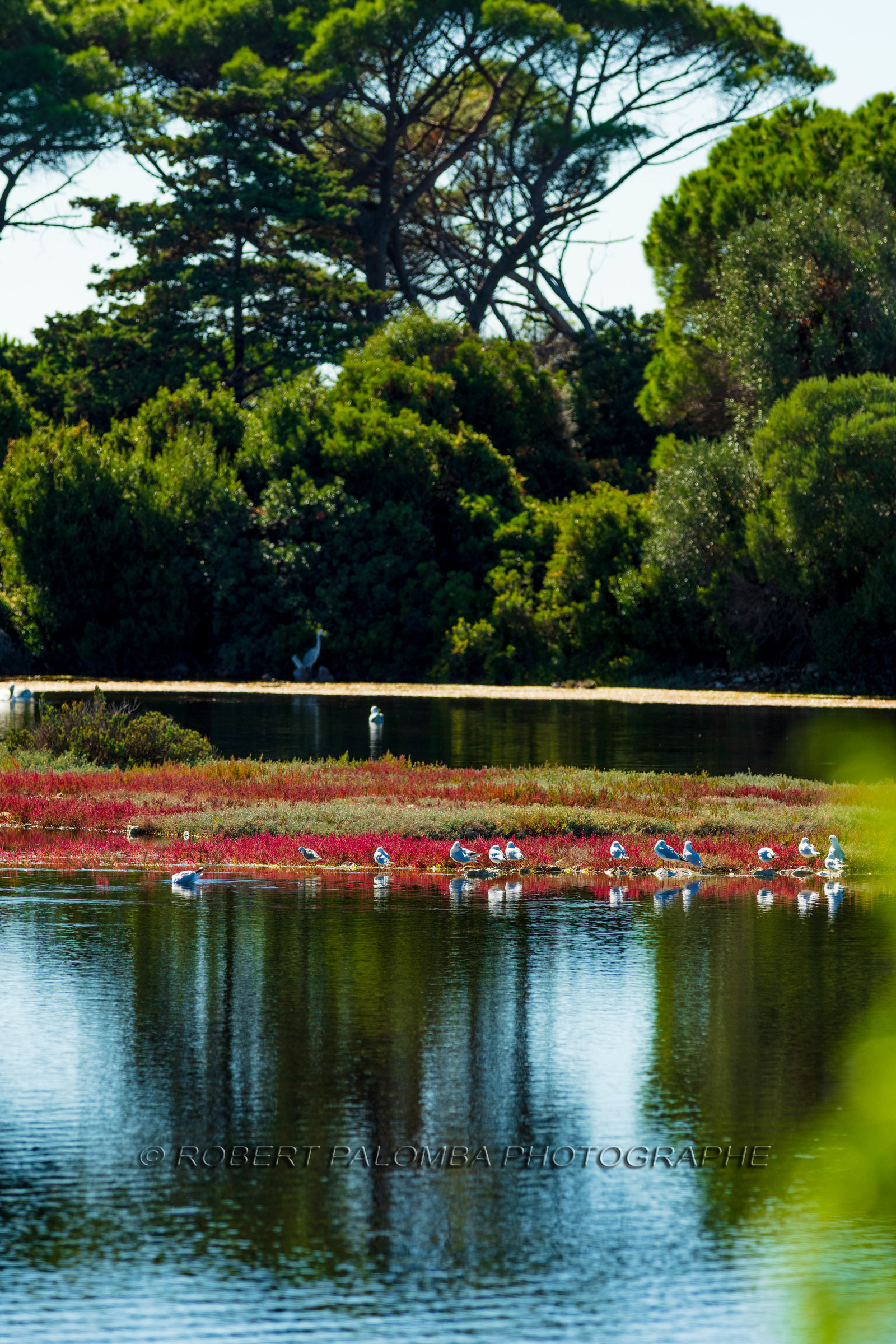 Lérins, Sainte-Marguerite