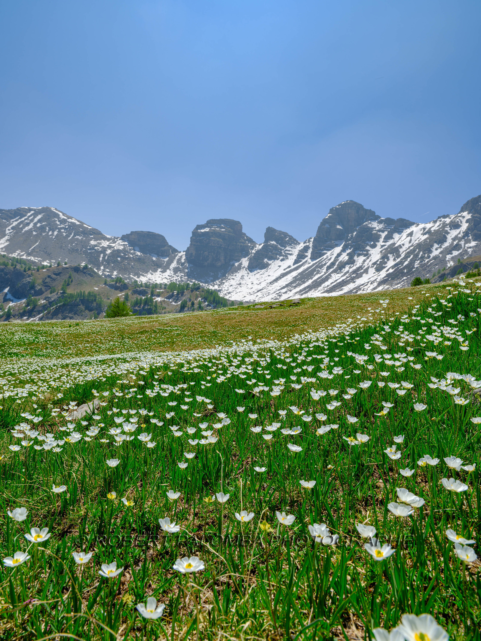 Lac d'Allos