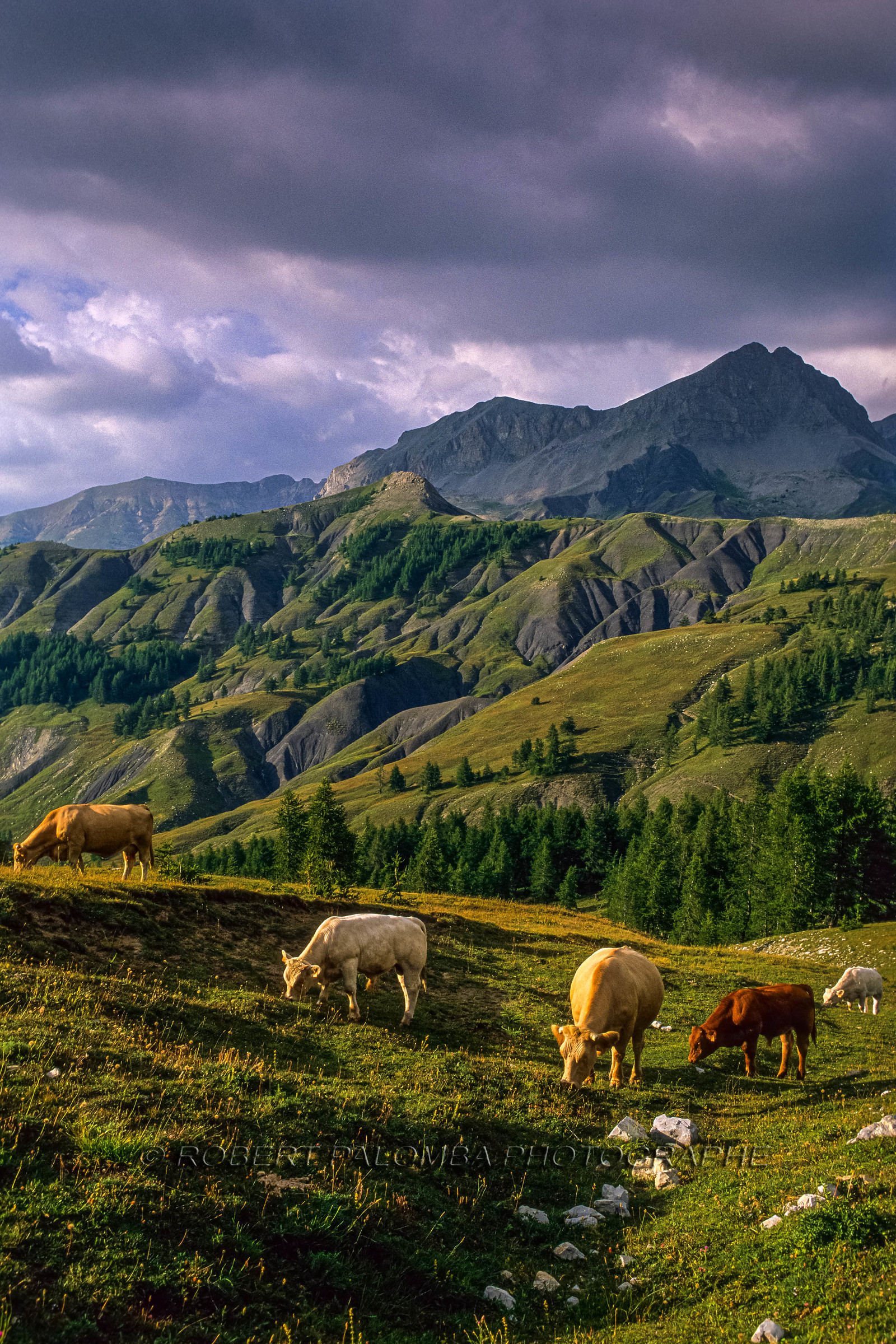 Col des Champs