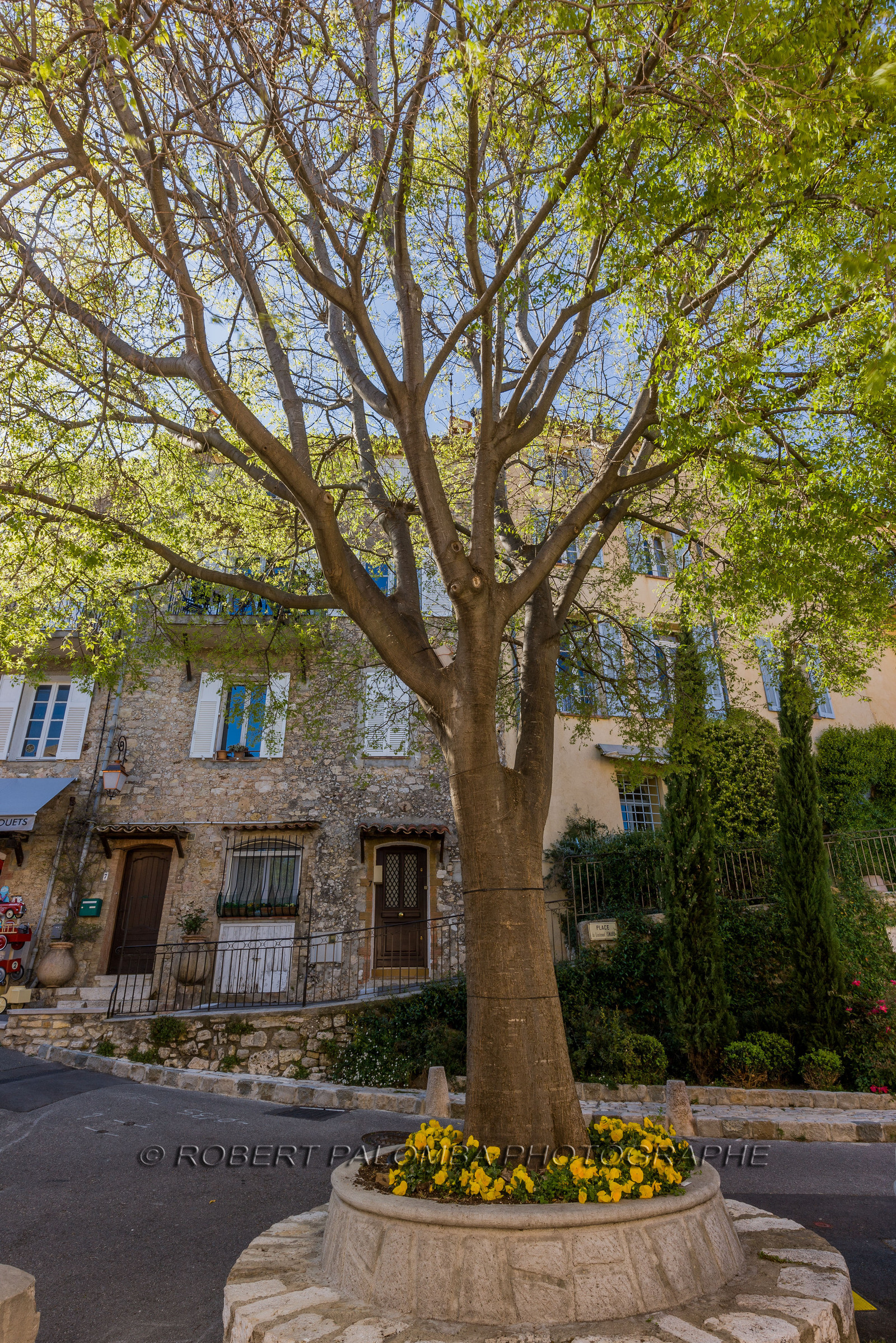Mougins