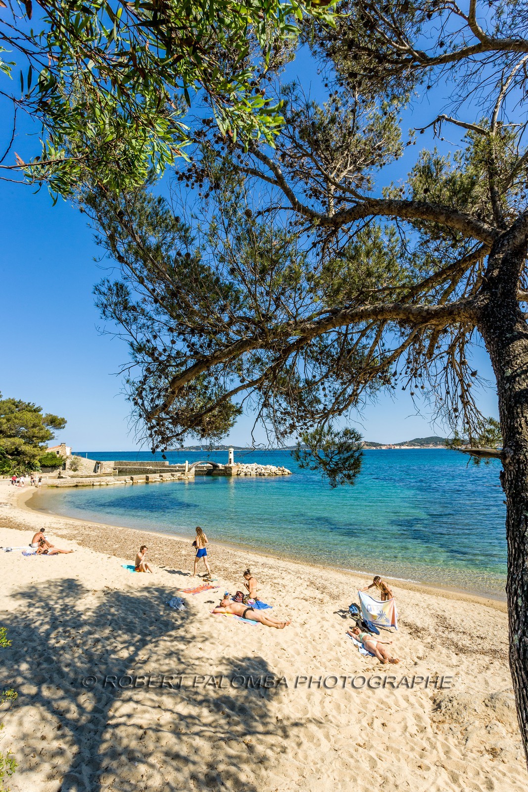 Grimaud