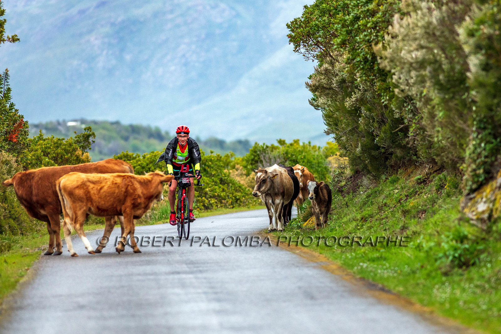 Bikingman Corsica 2019