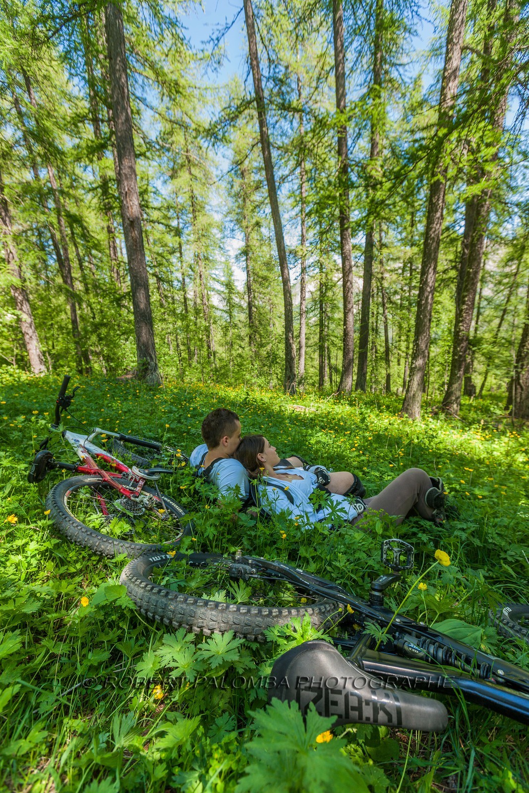 Vtt