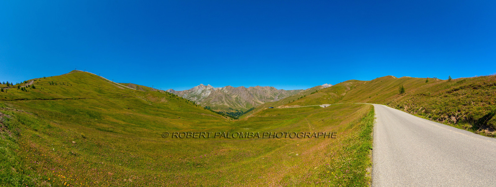 PAL247753-pano