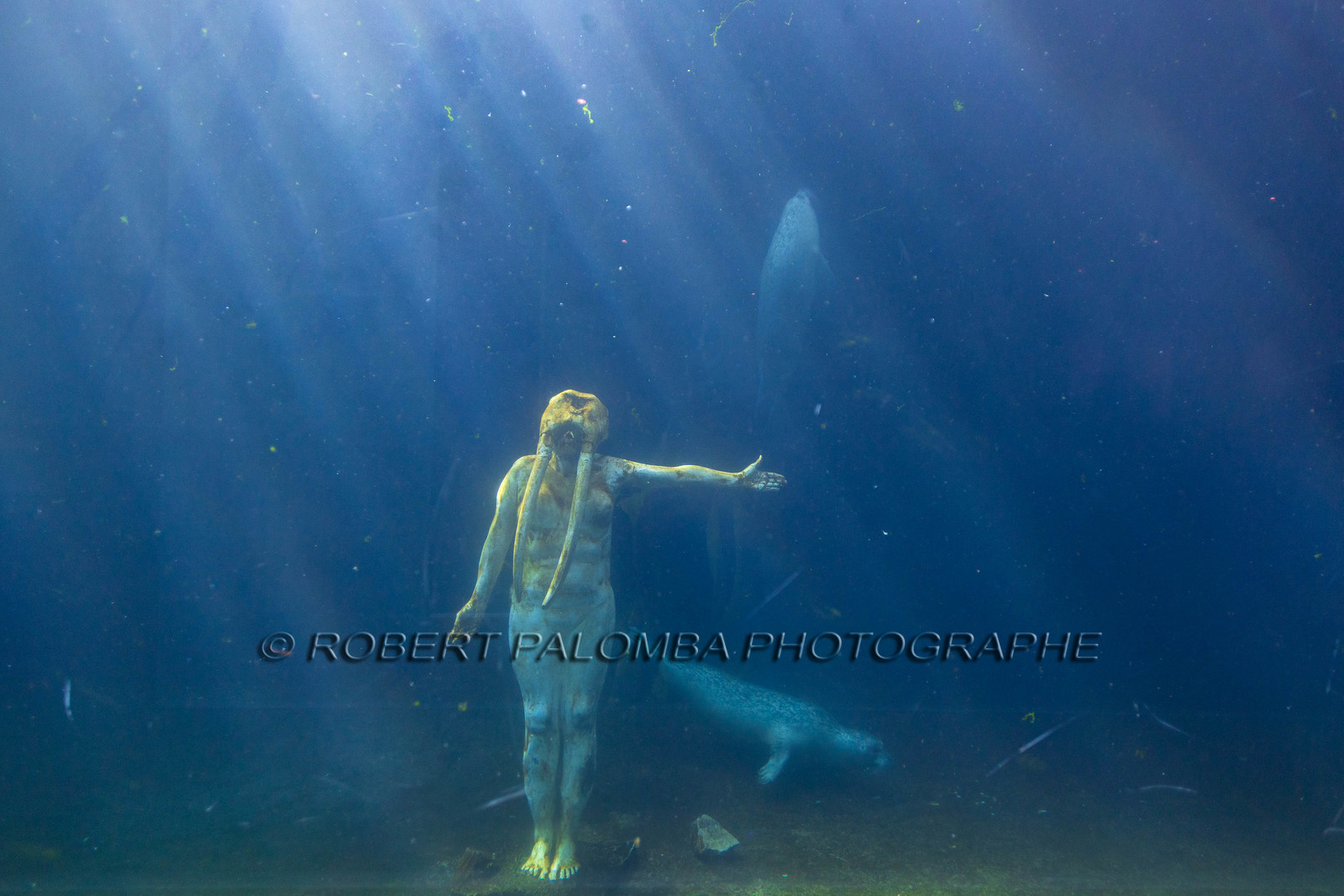Seaquarium