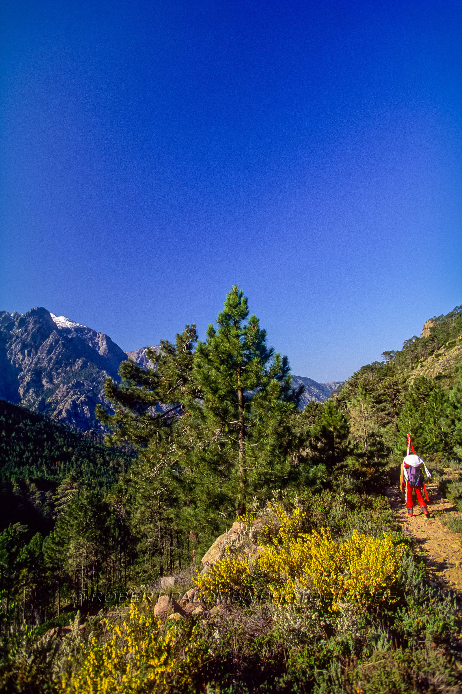 Ski en Corse