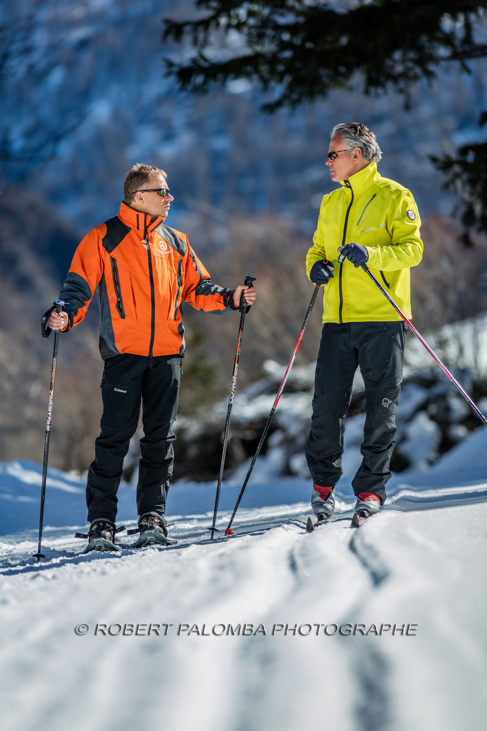 Ski de fond