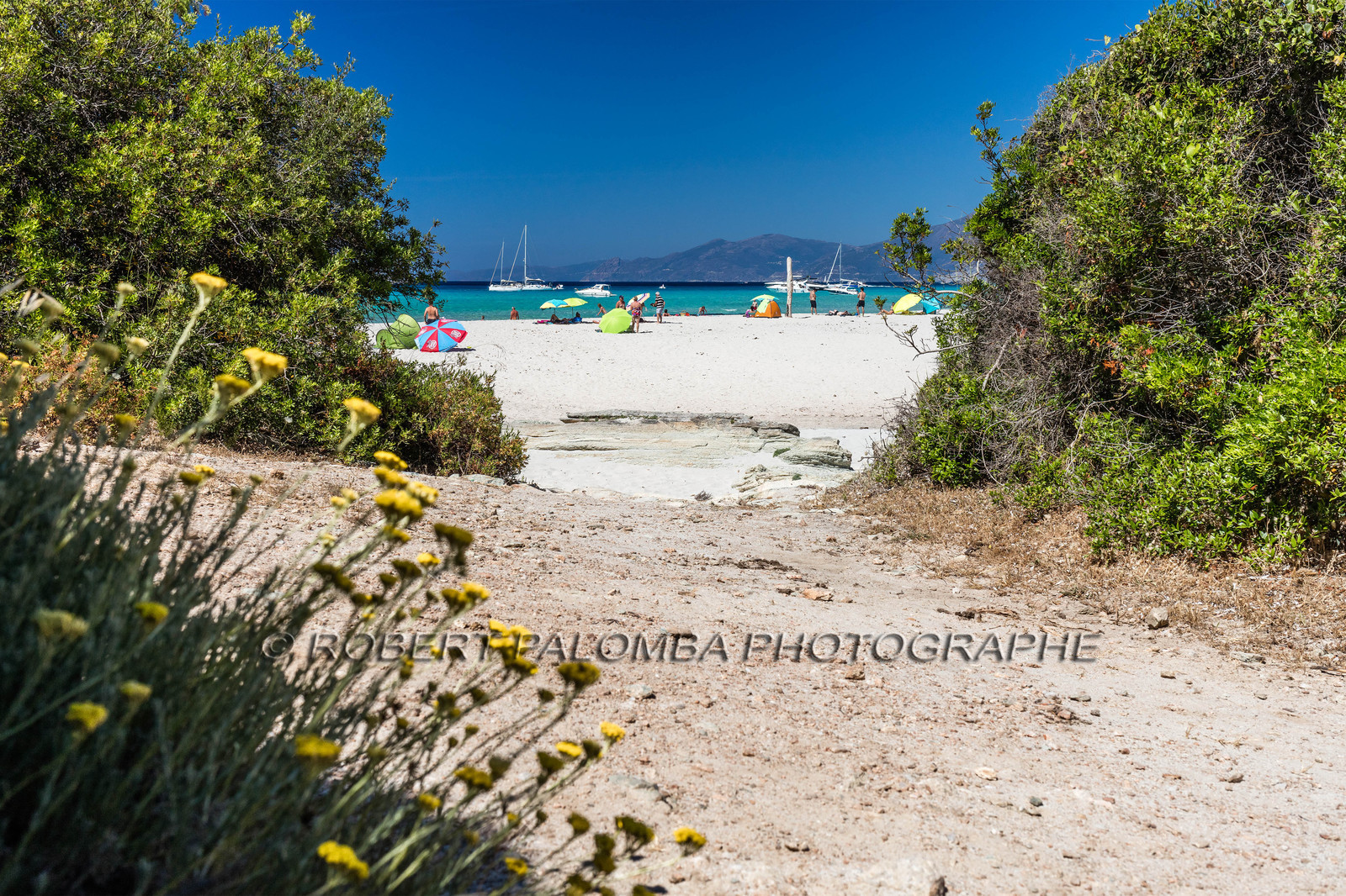 Saleccia