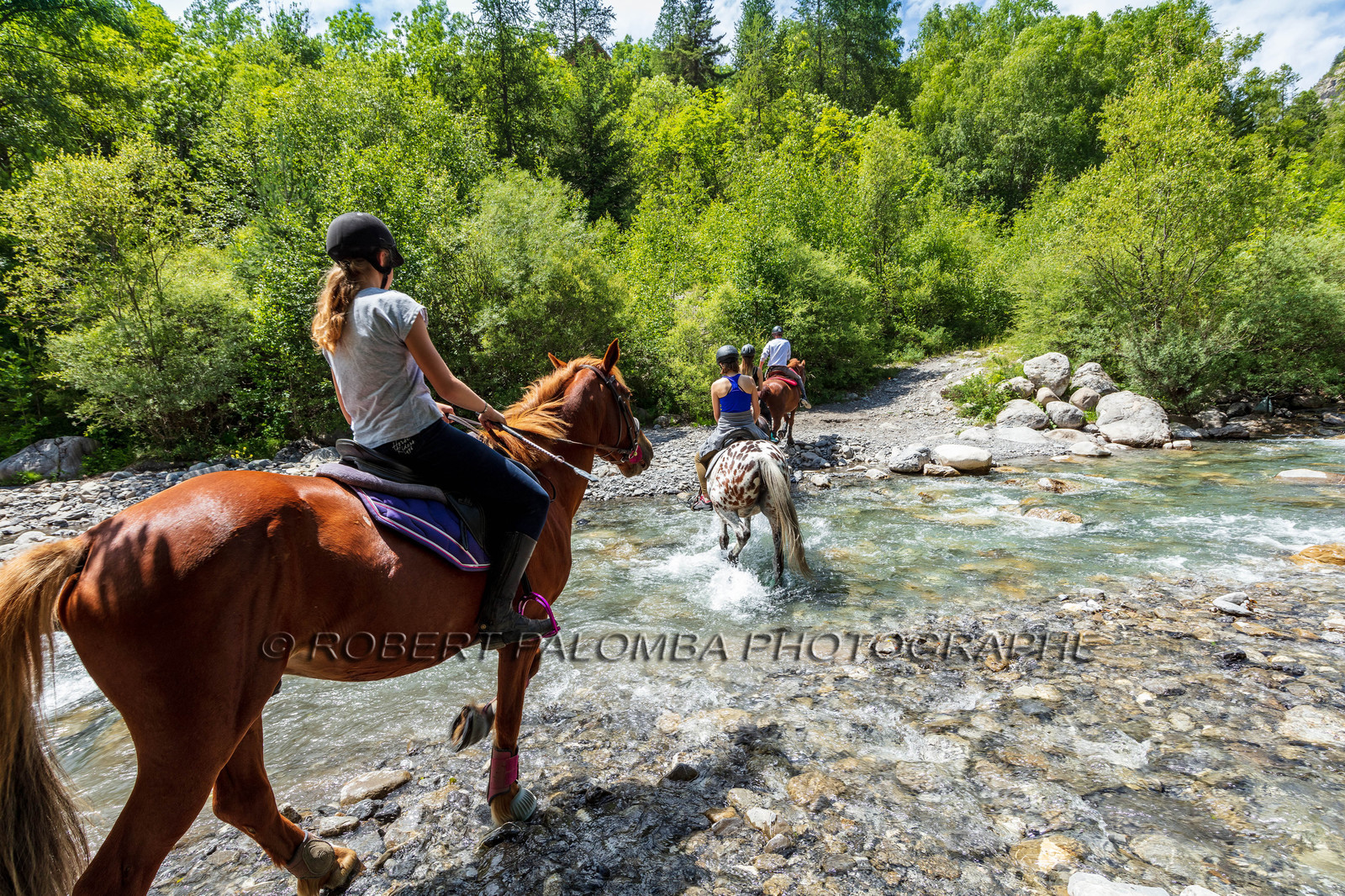 Equitation