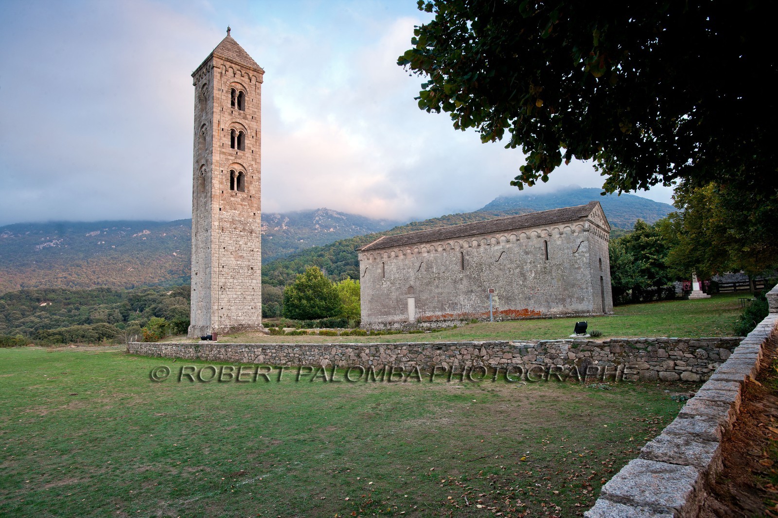 Carbini