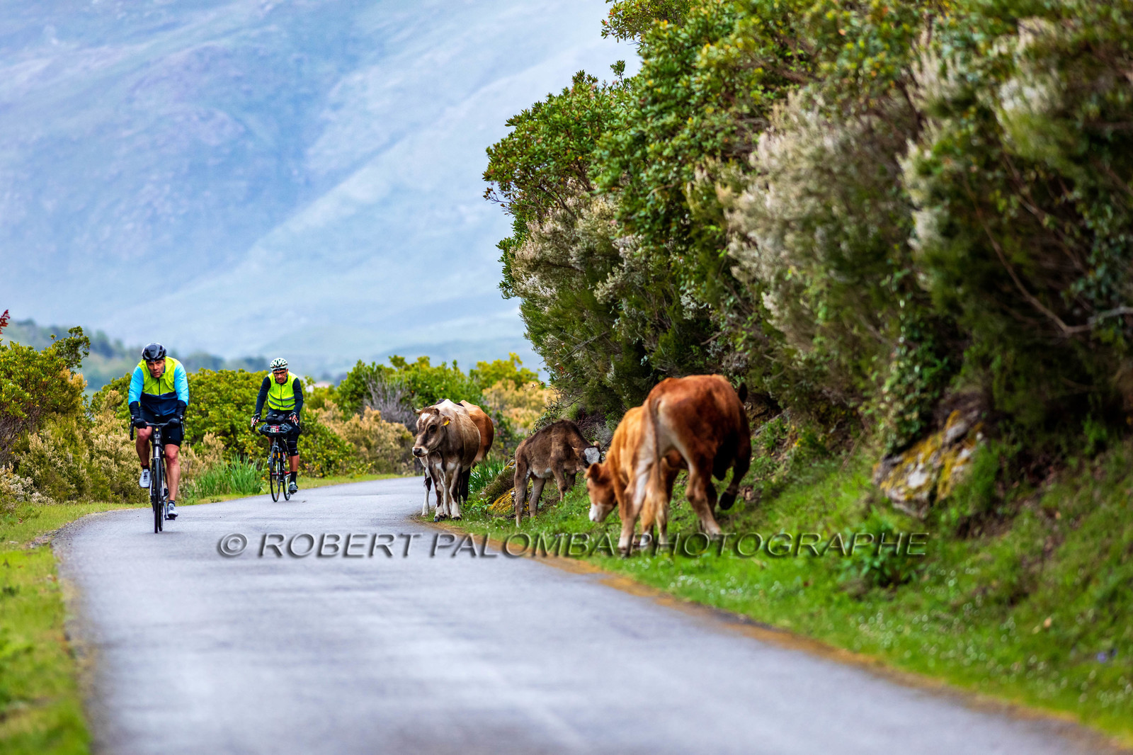 Col de Bigorno