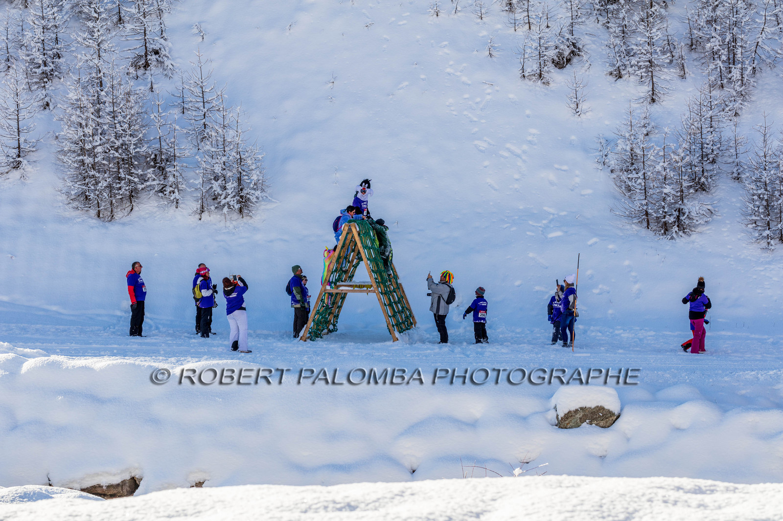 Isola 2000