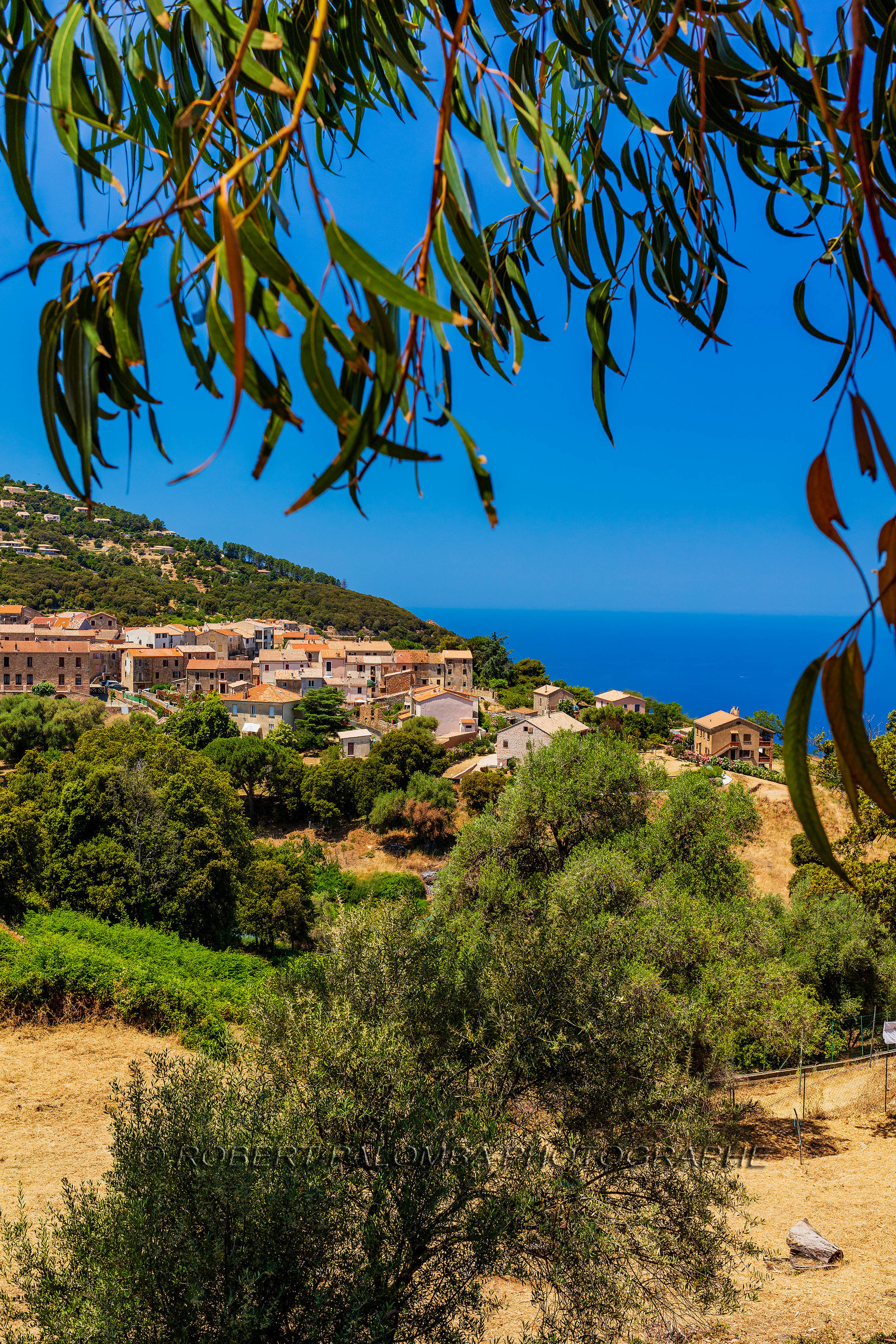 Piana