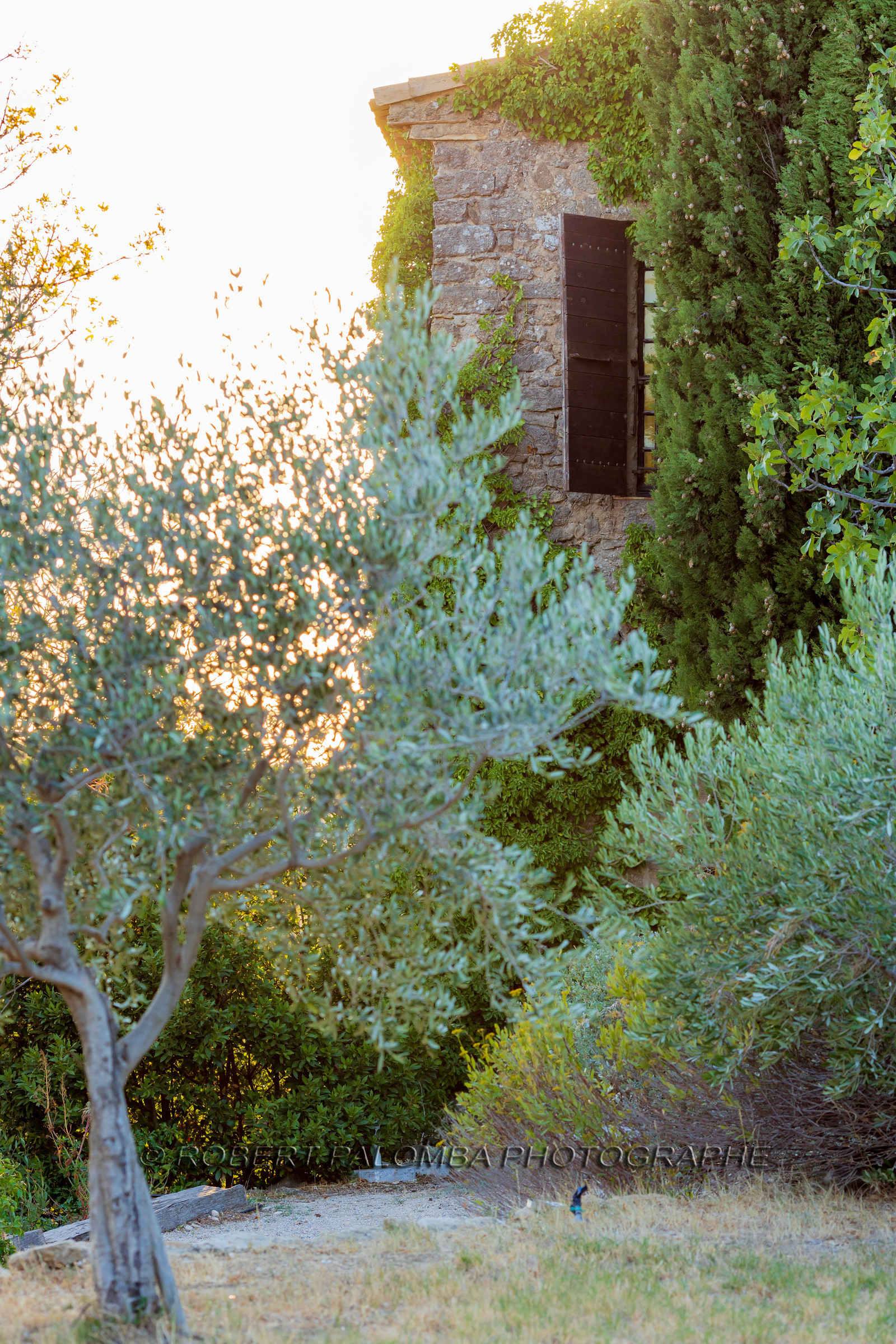 Salon-de-Provence