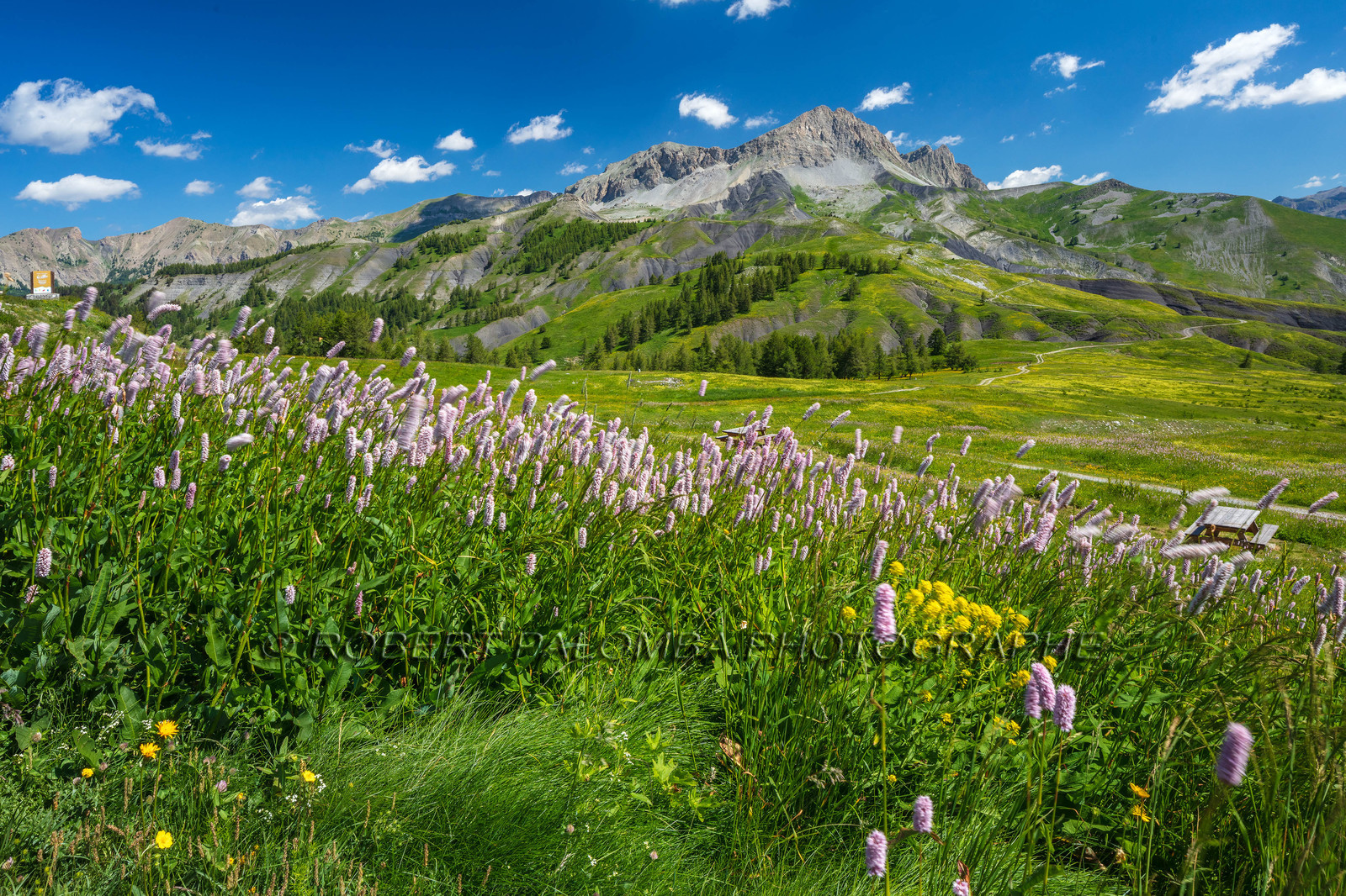 Col des Champs