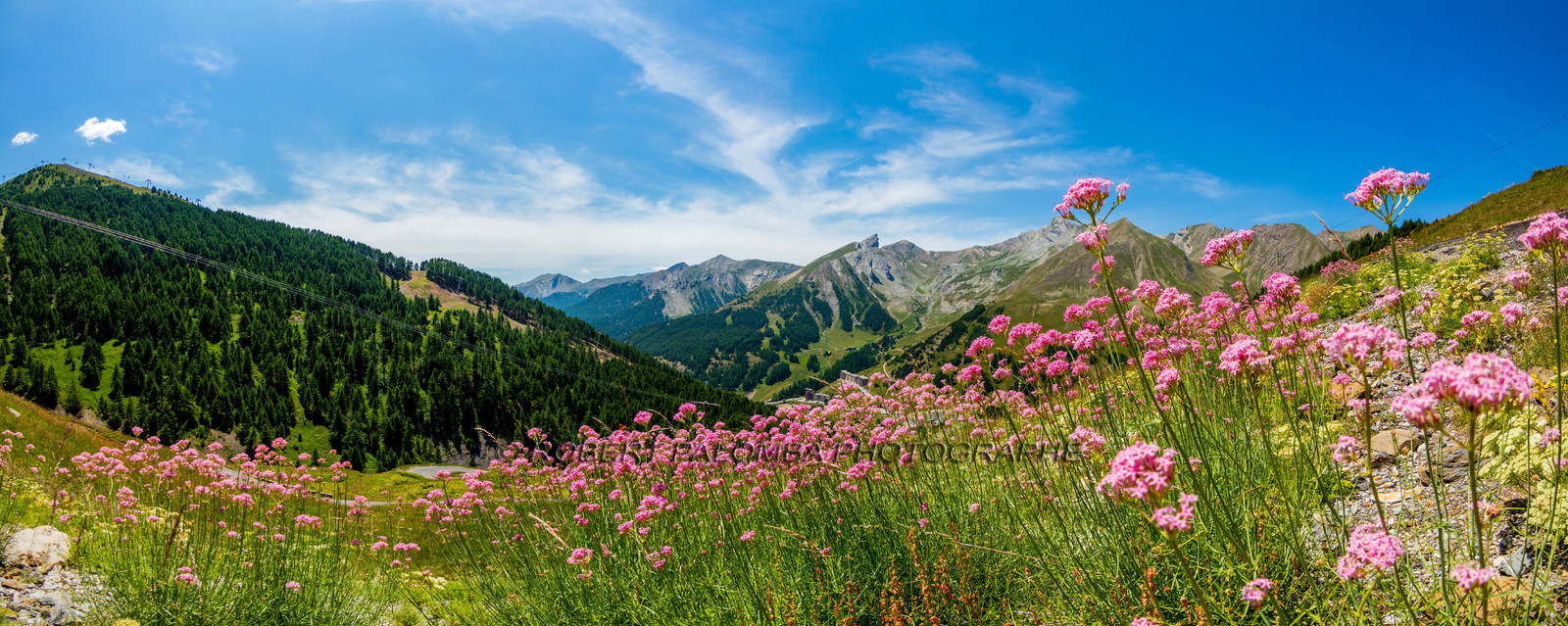 Col d'Allos