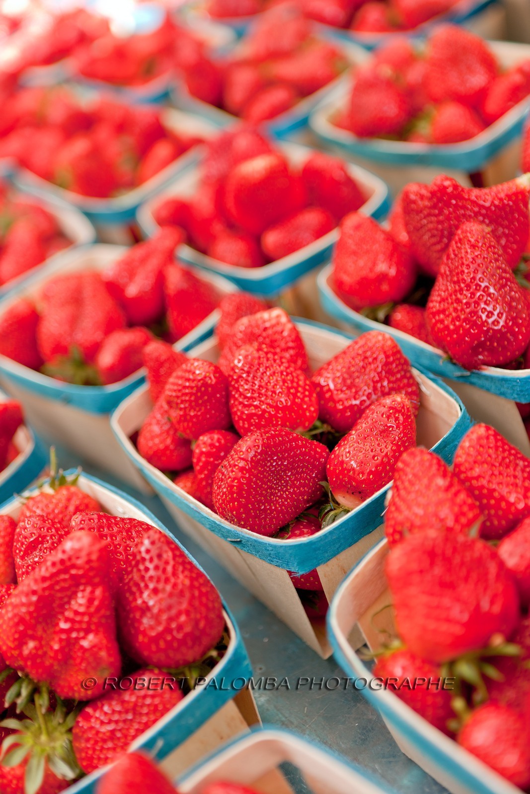 Fraises