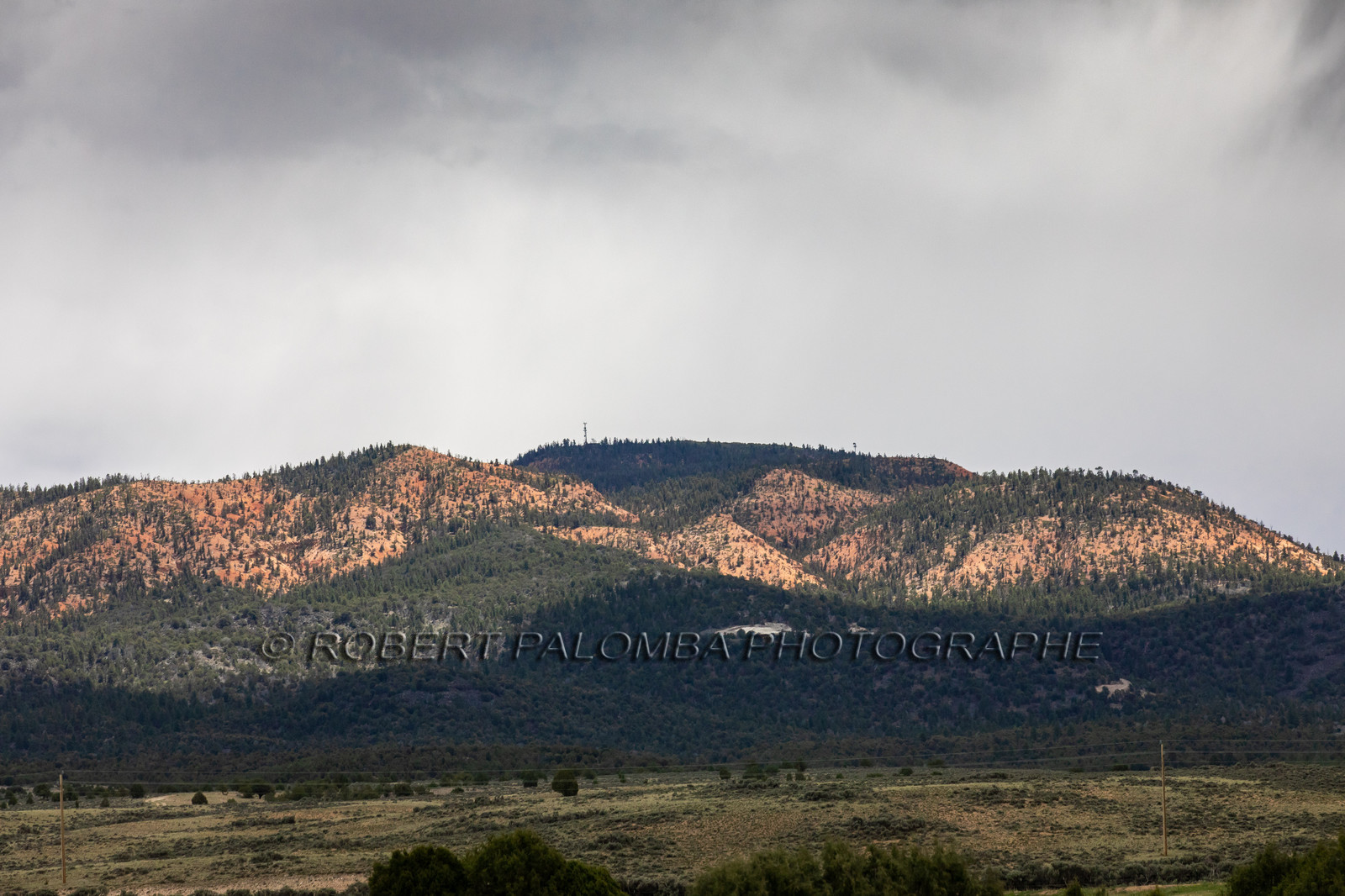 Sur la route pour aller à Bryce Canyon