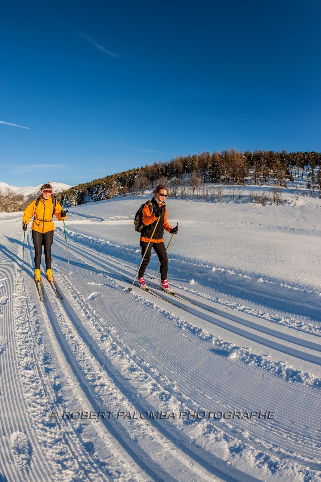 Ski de fond