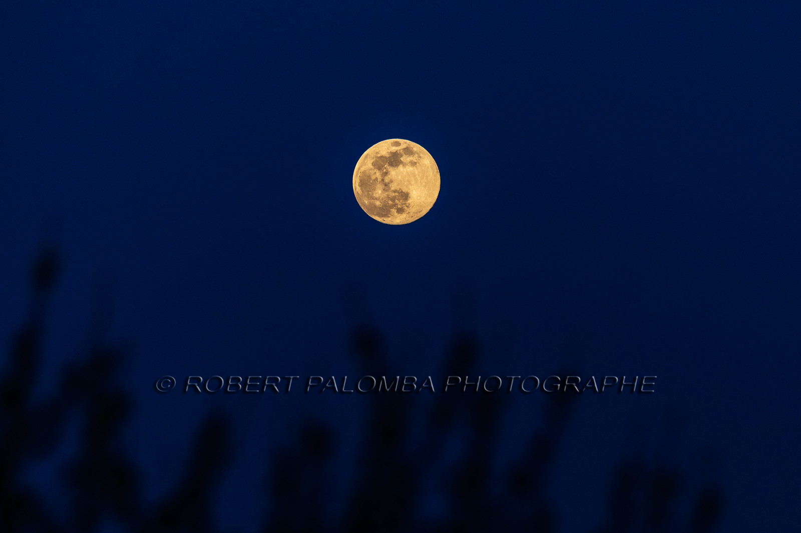Lune