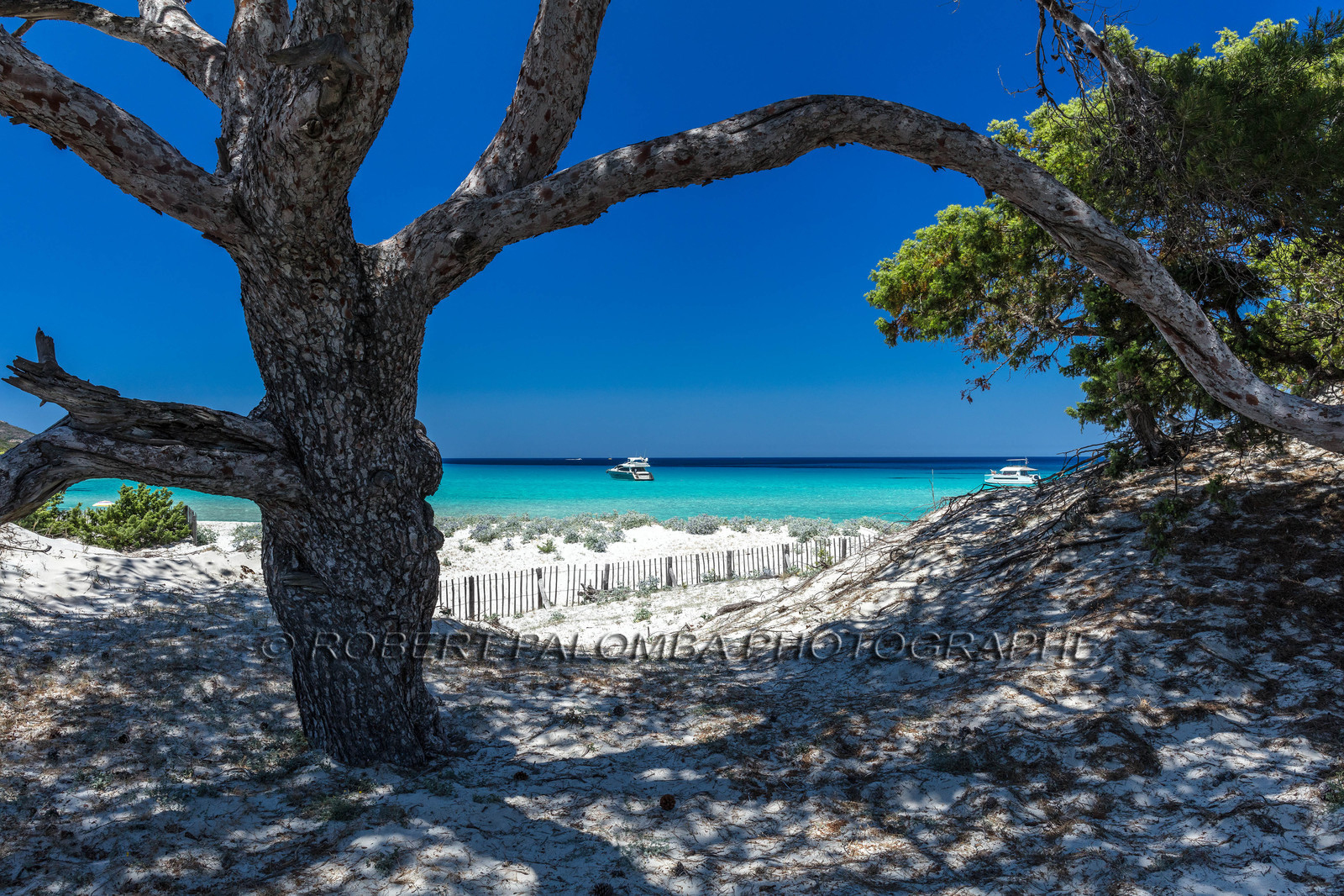 Saleccia