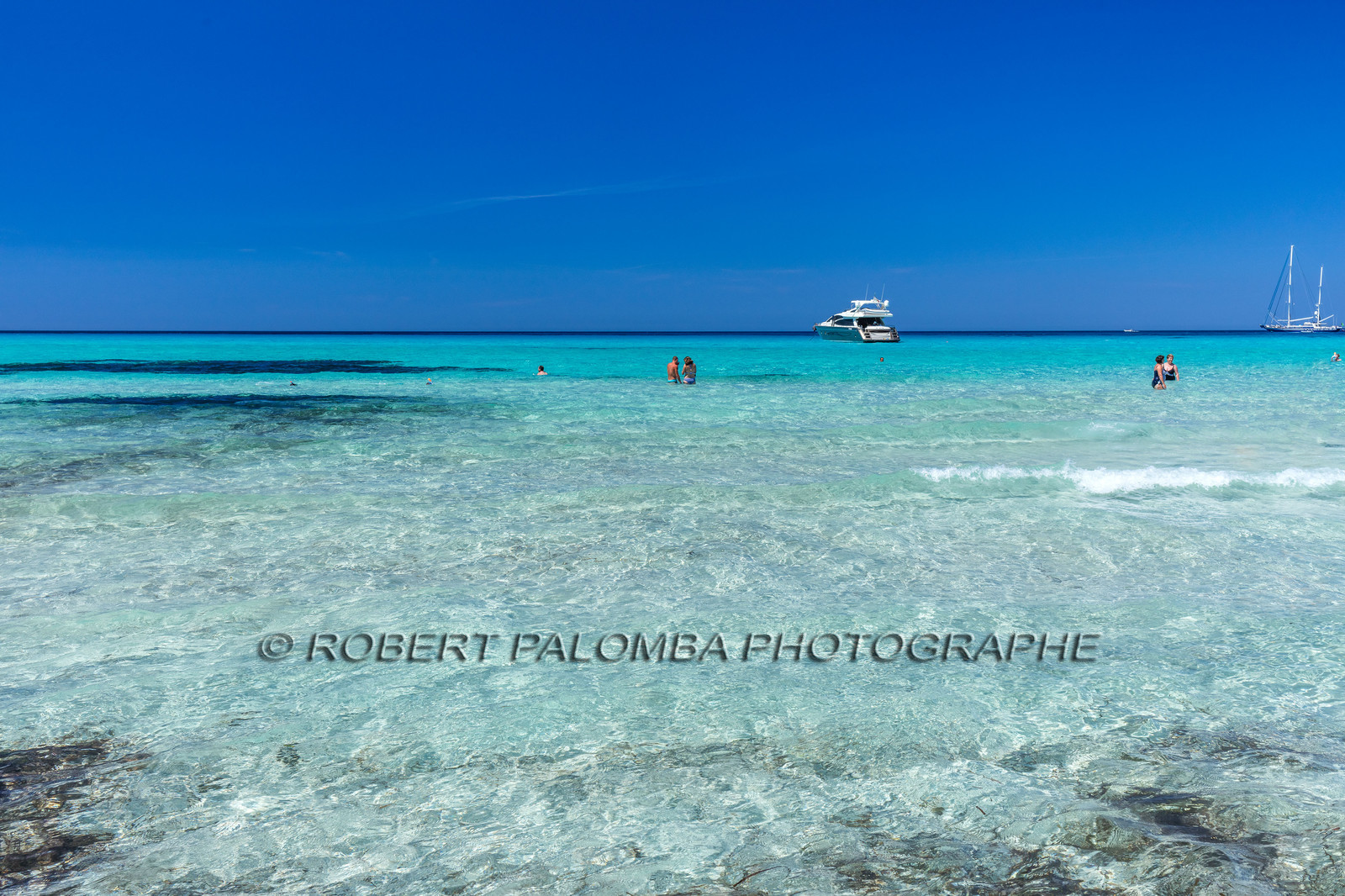 Saleccia