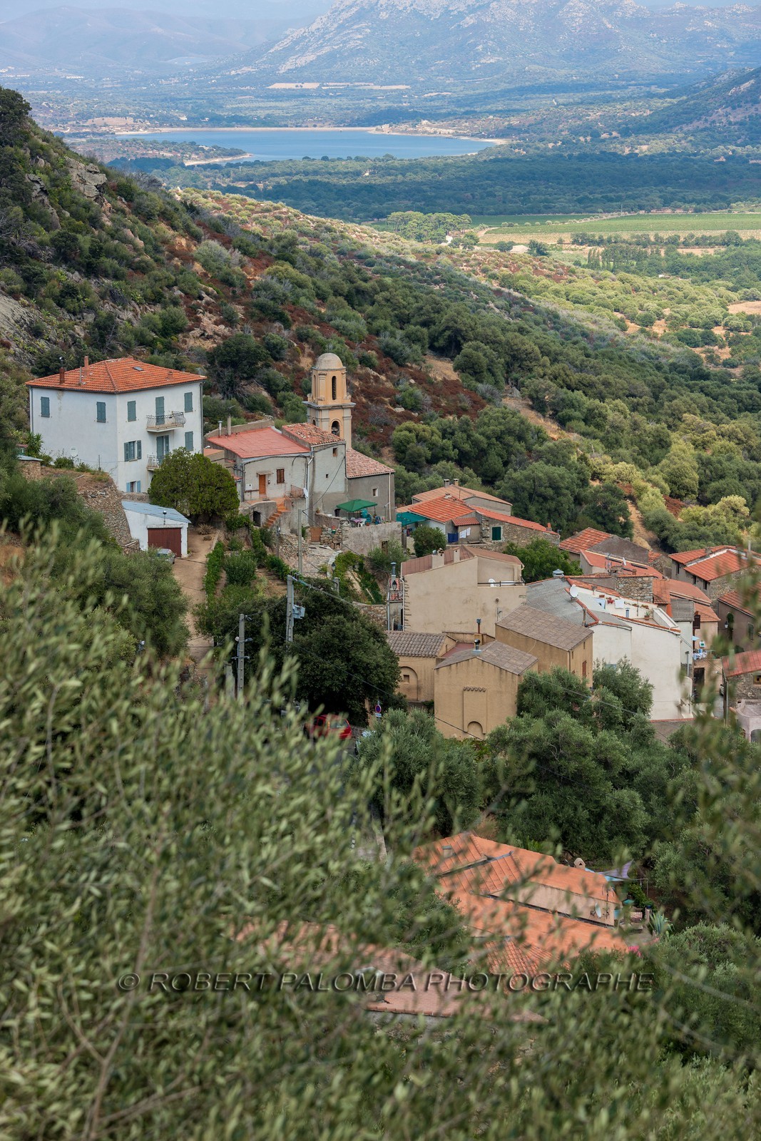 Avapessa