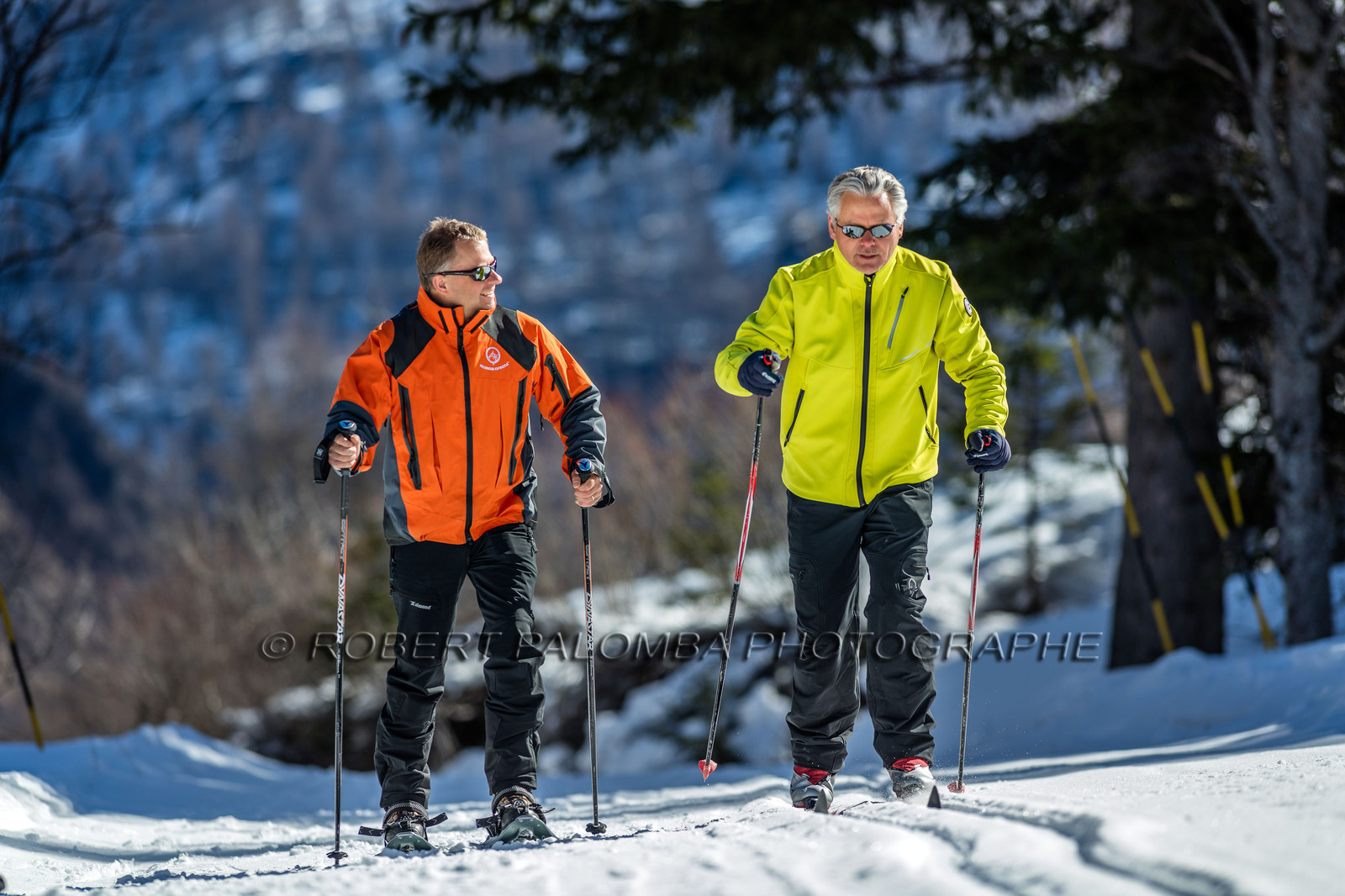 Ski de fond