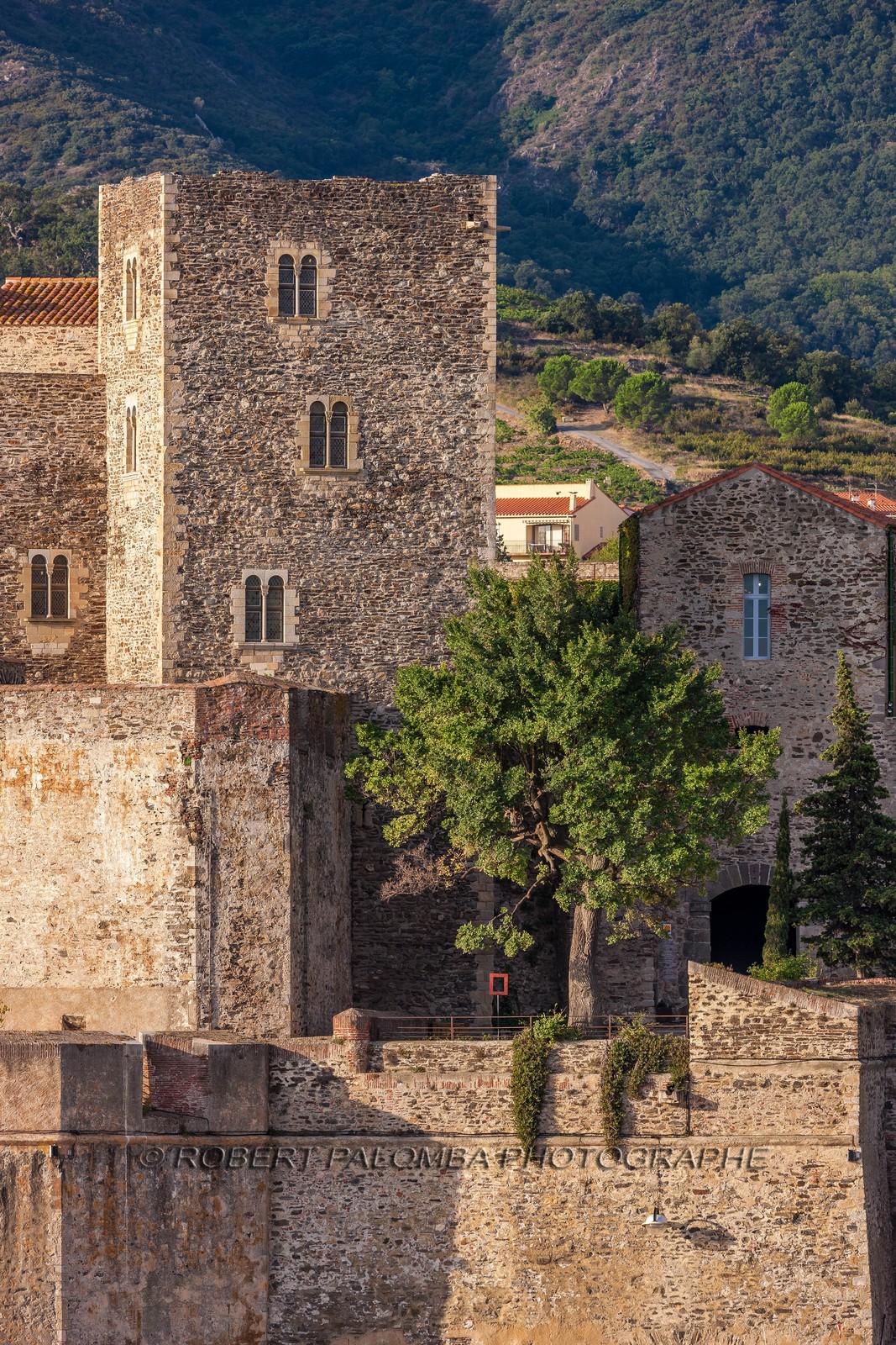 Collioure
